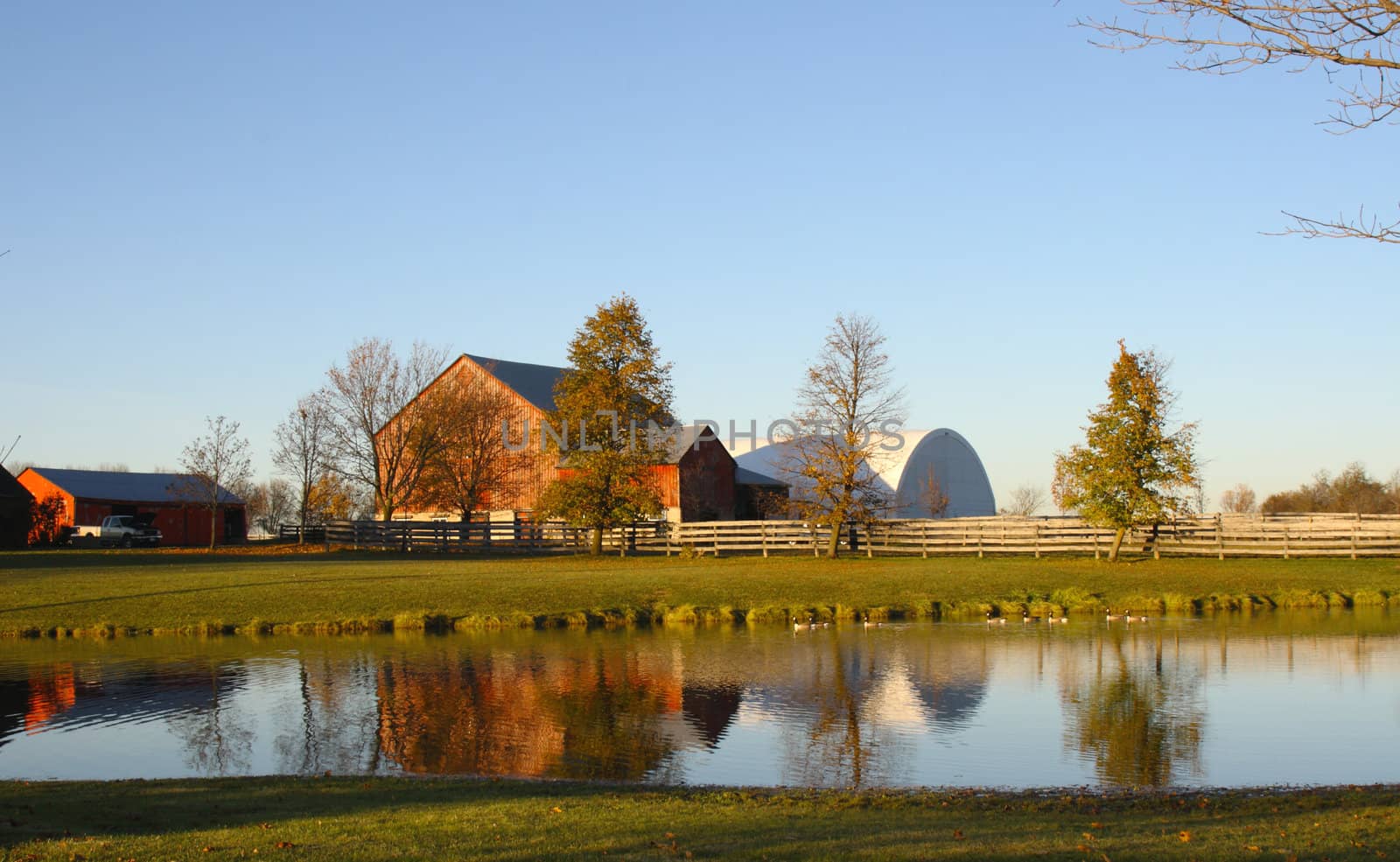 autumn afternoon light with farm and pond