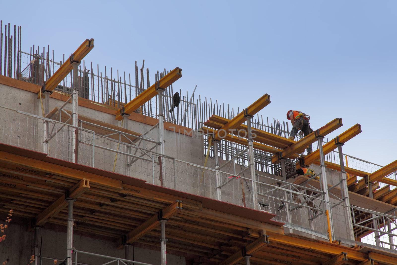 workers in action during construction of a steel beam office bui by njene