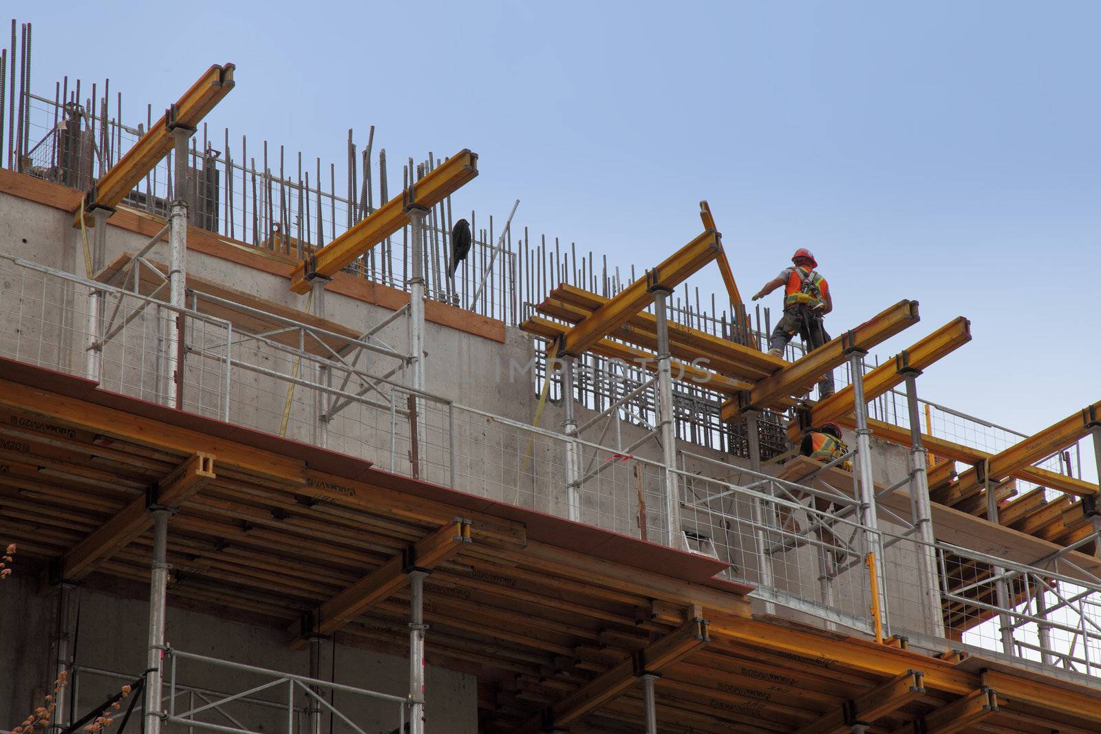 workers in action during construction of a steel beam office bui by njene