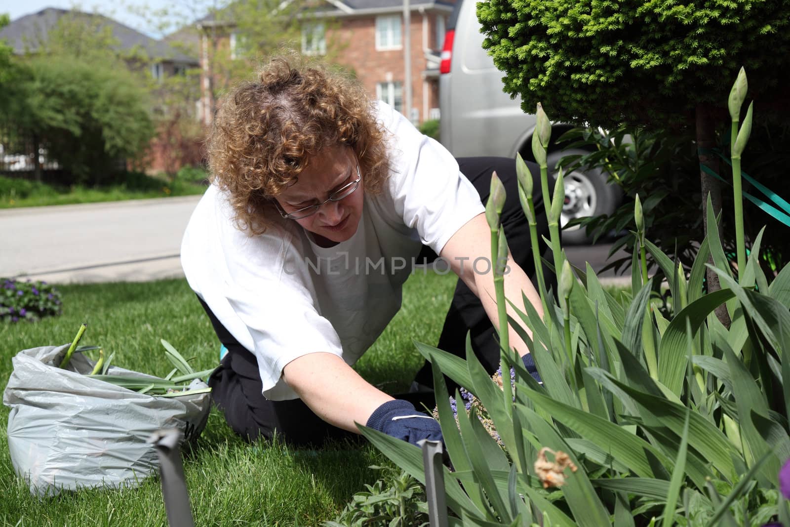mature woman gardening