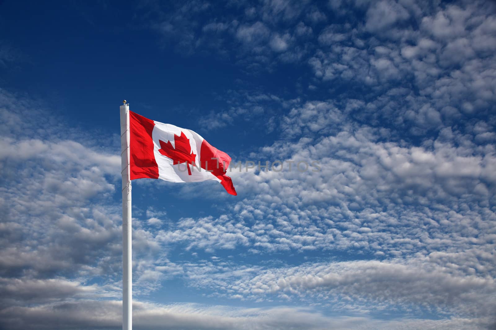 canadian flag by njene