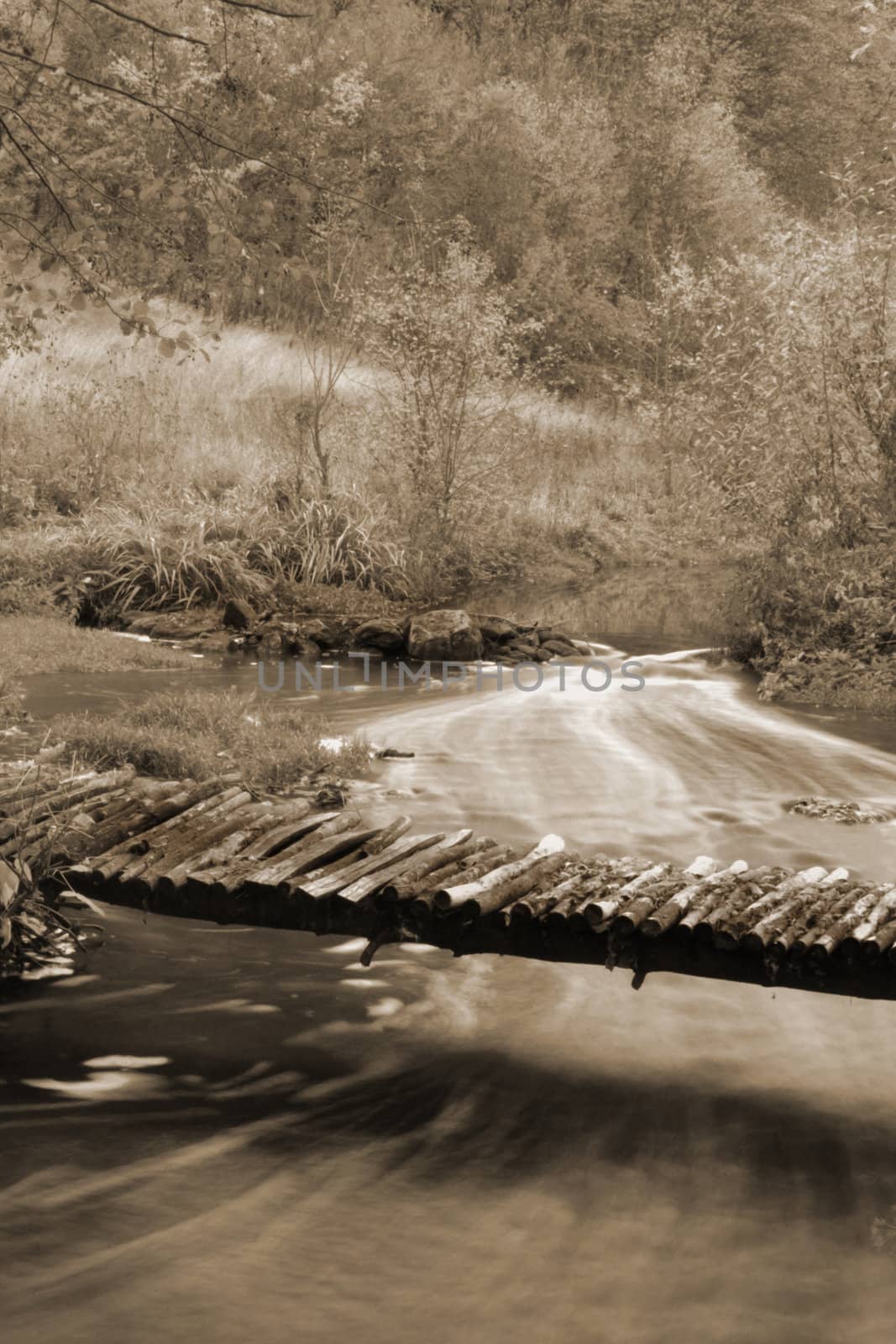 An image of a footbridge in autumn forest