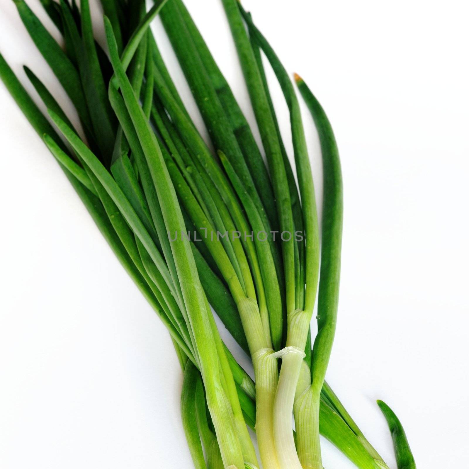 An image of green fresh onion on white