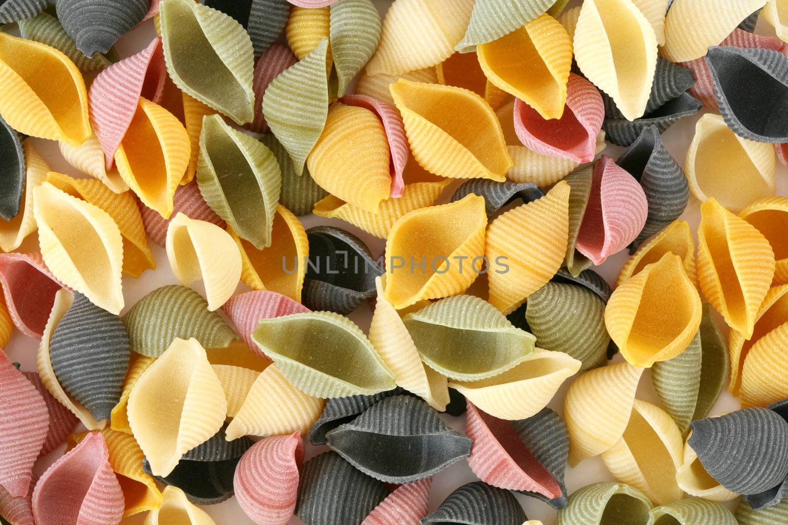 Colorfull pasta shells by velkol