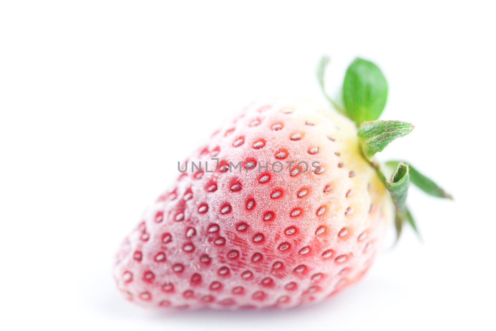 big red strawberry in frost  isolated on white