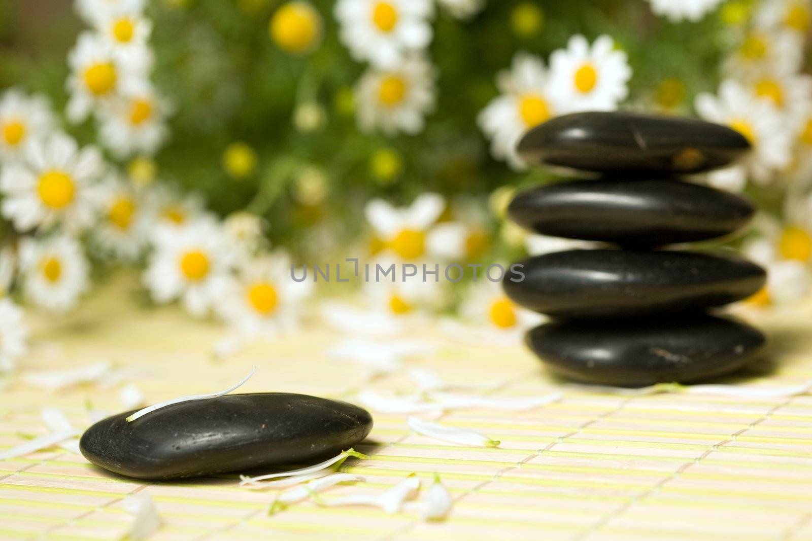An image of black little stones for spa massage