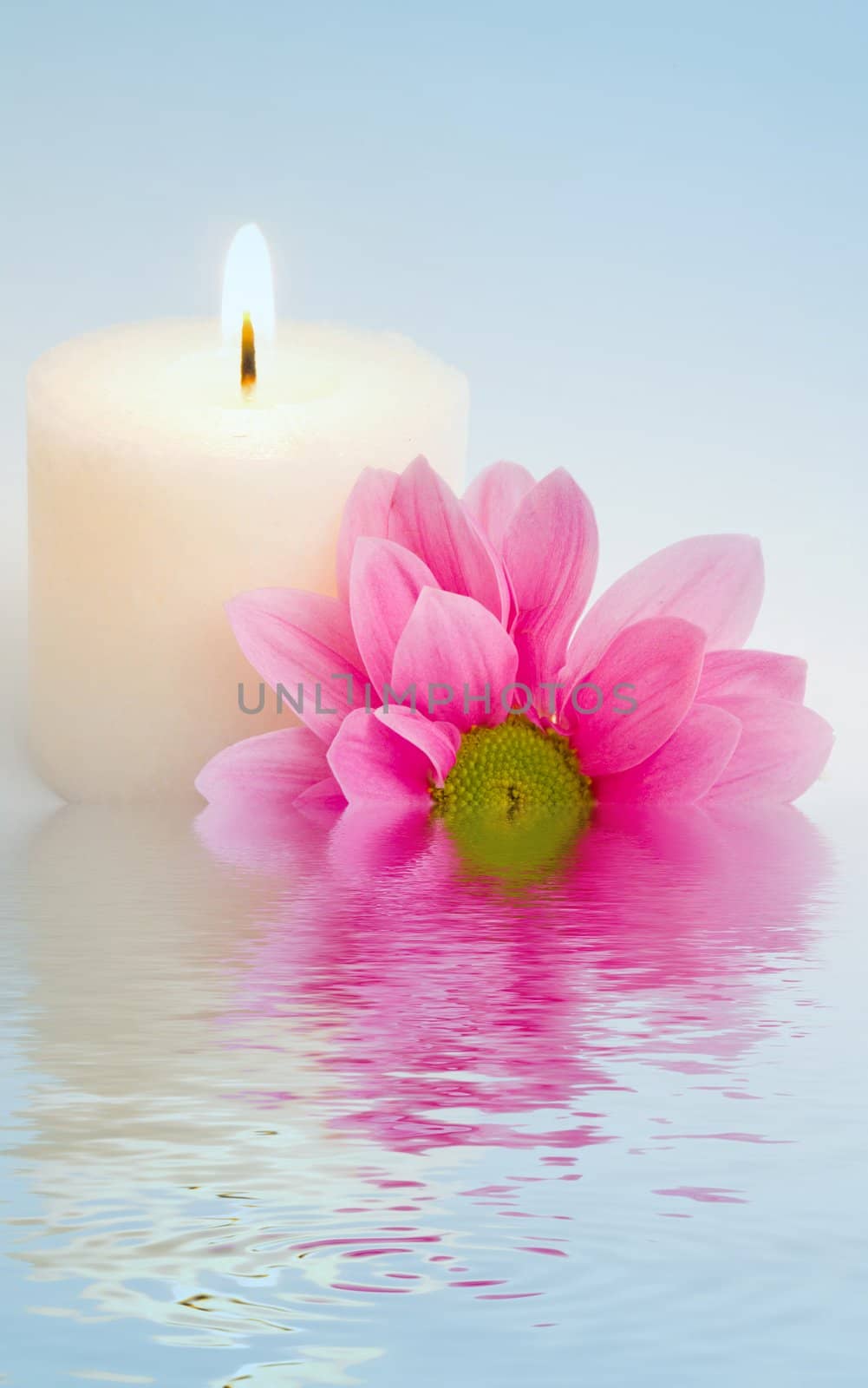 Flower and candle in water by velkol