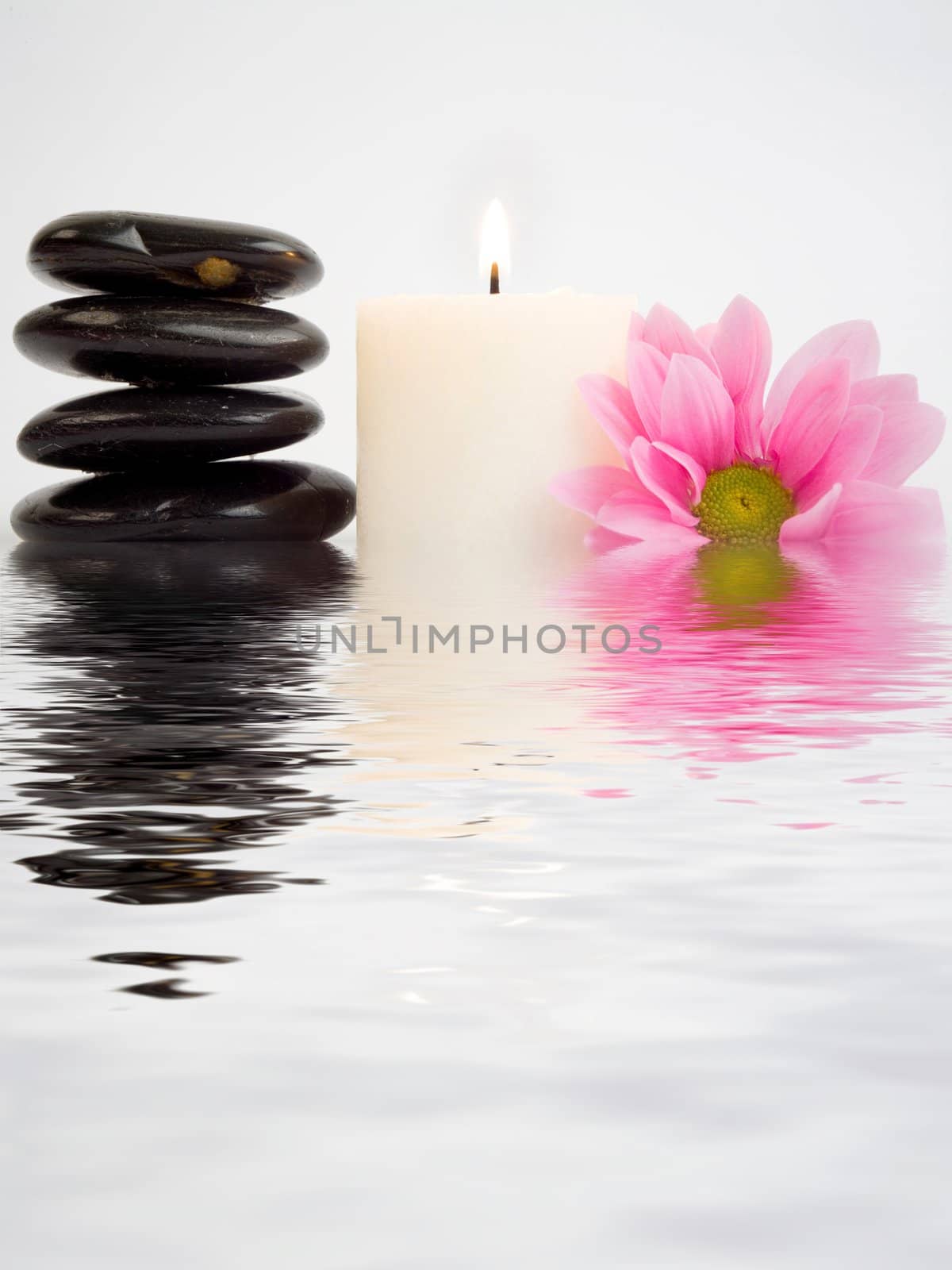 An image of pink flower and candle in water