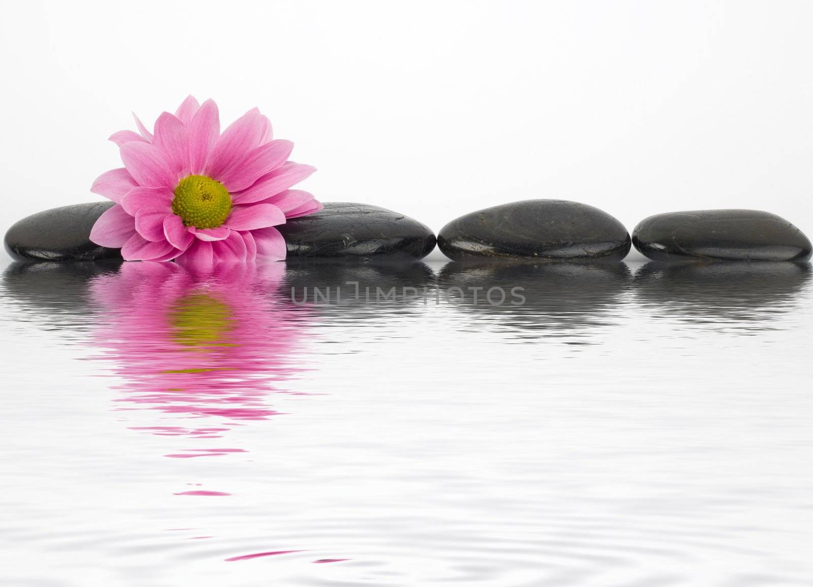 An image of black stones with reflections in water