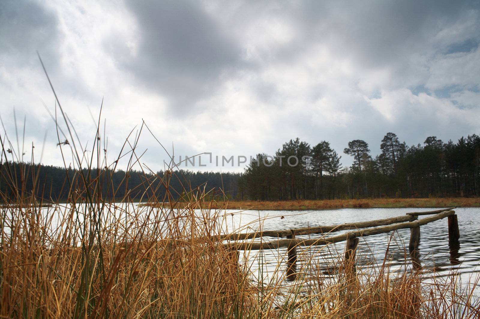 A lake in forest and dramatic sky