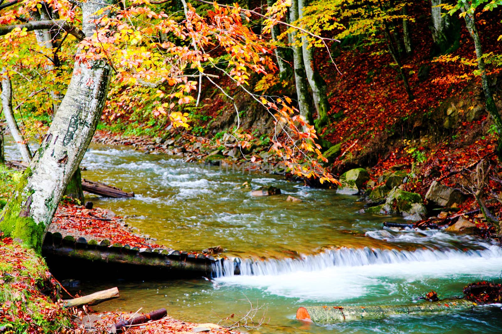 An image of river in autumn mountains