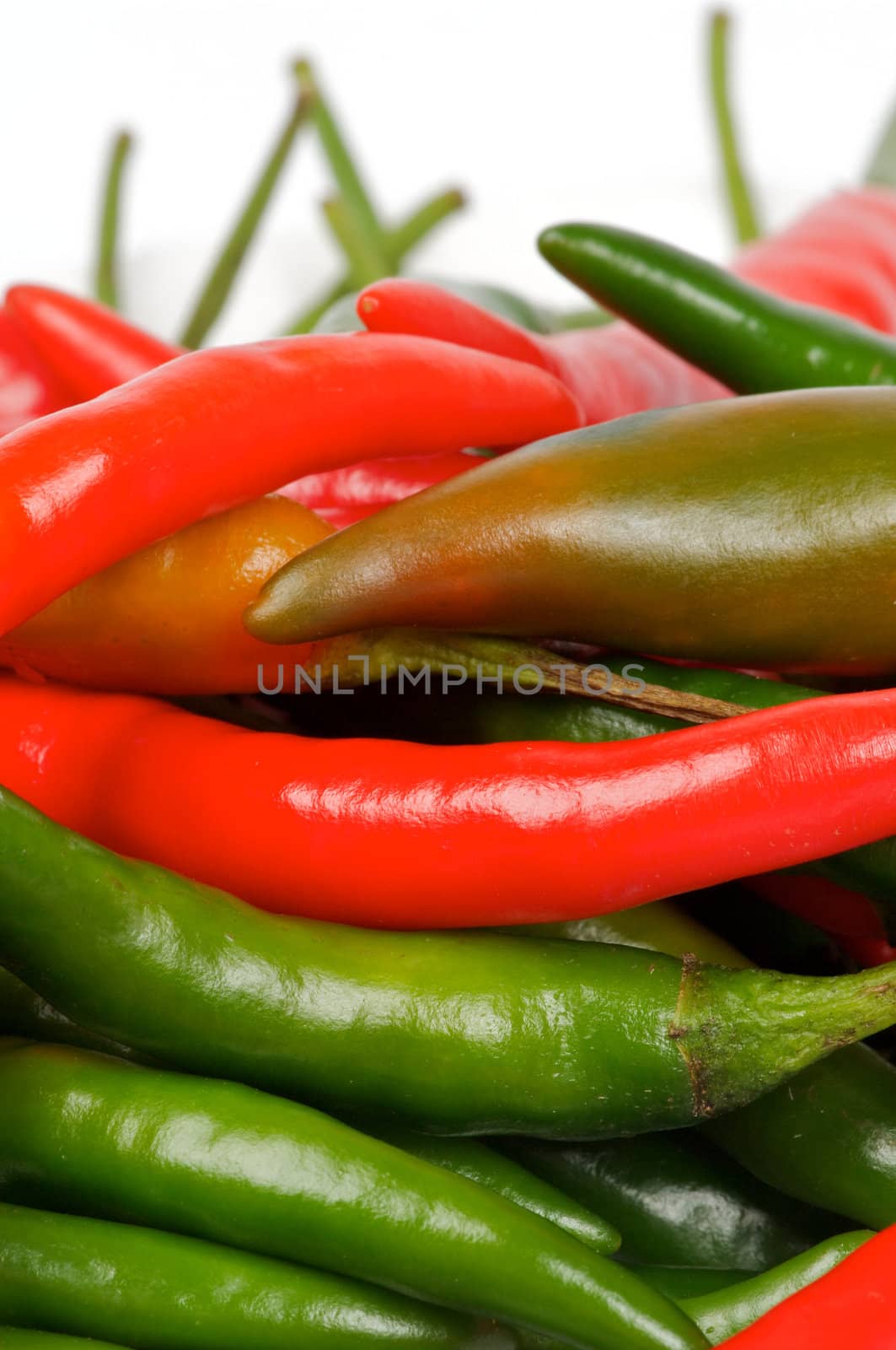 Arrangement of Chili peppers by zhekos