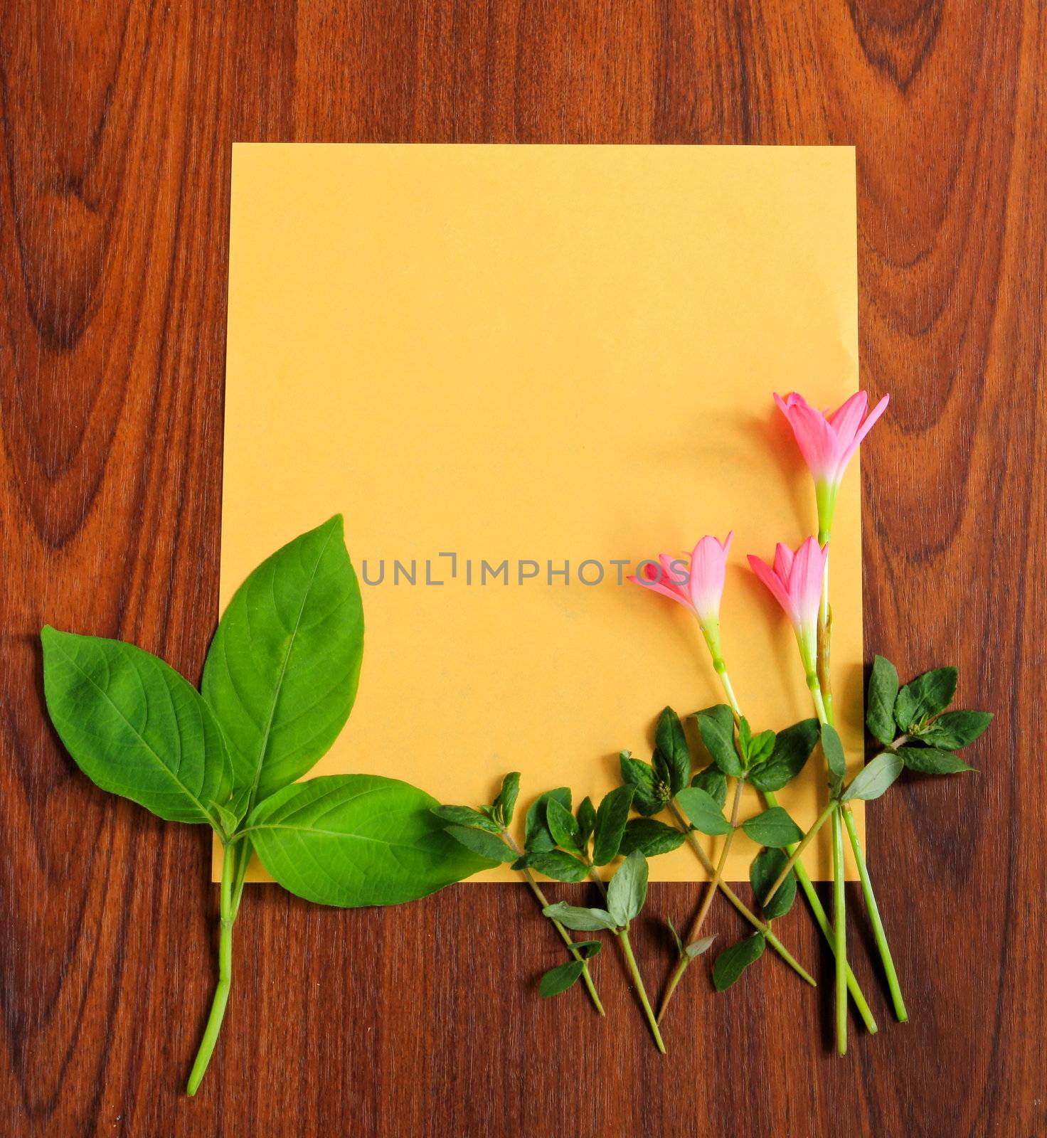 Flowers and leaves with yellow paper on wooden background by nuchylee