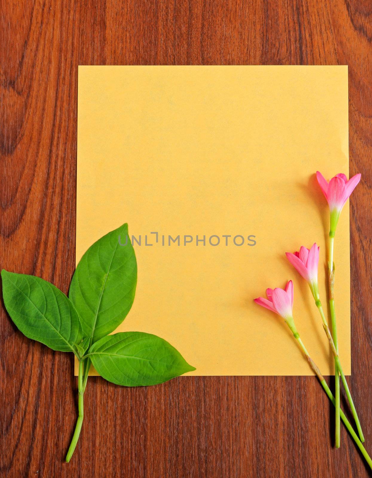 Flowers and leaves with yellow paper on wooden background