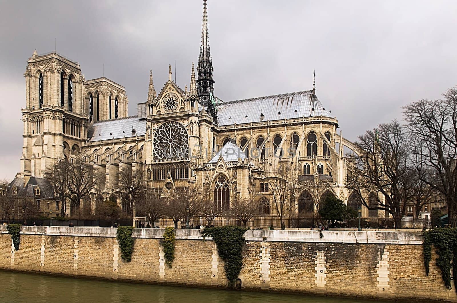 Notre-Dame de Paris in the early spring. View on the Seine, France