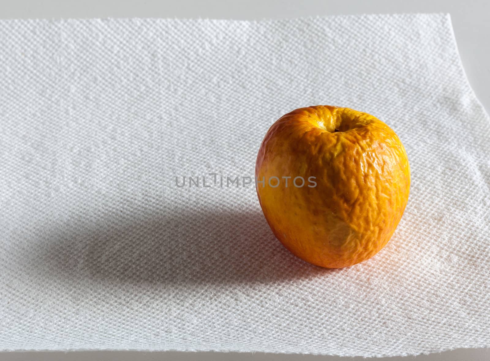 Old wrinkled apple sitting on a white paper sheet with sidelighting and shadow