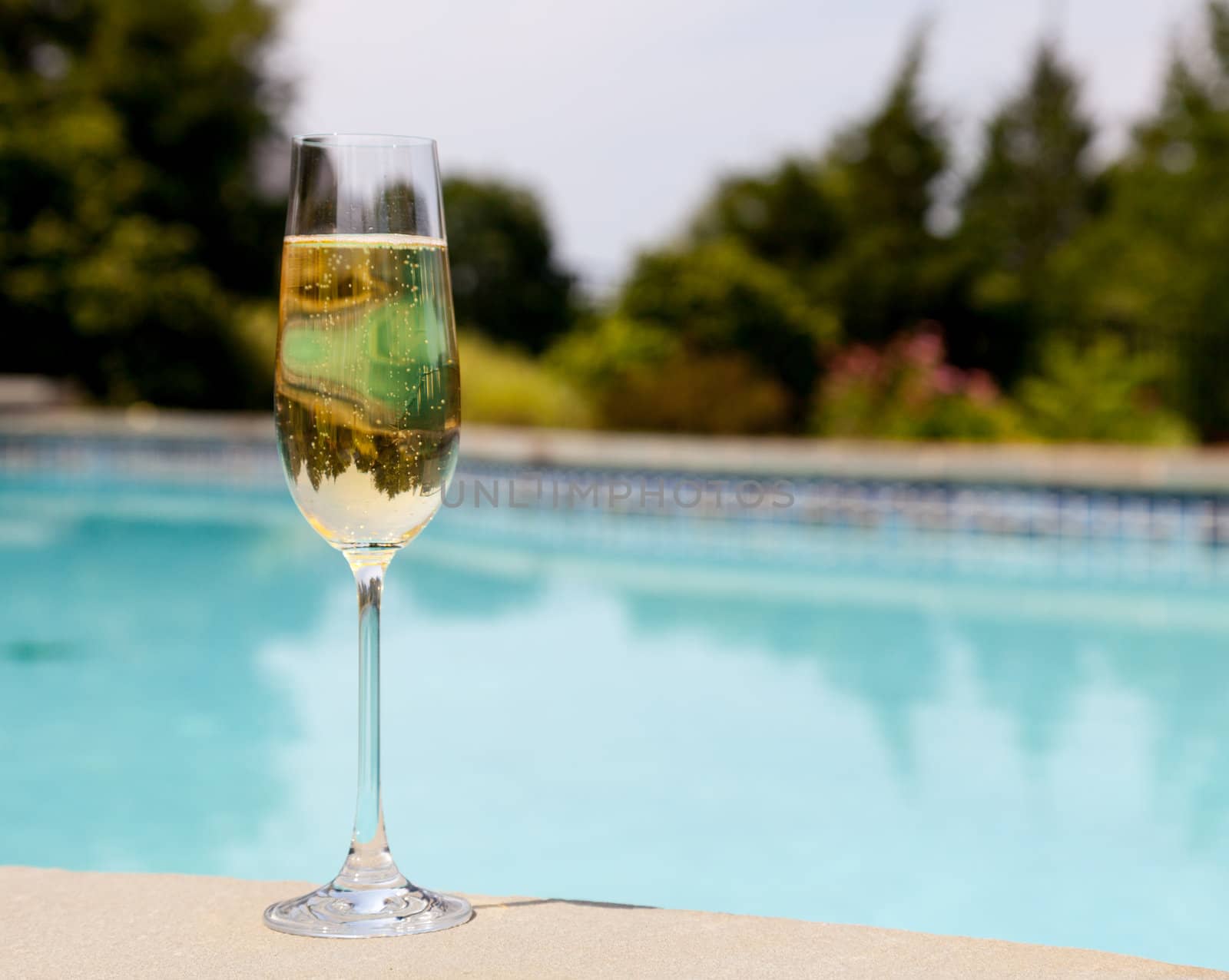 Elegant flute glass of sparkling white wine or champagne by side of swimming pool
