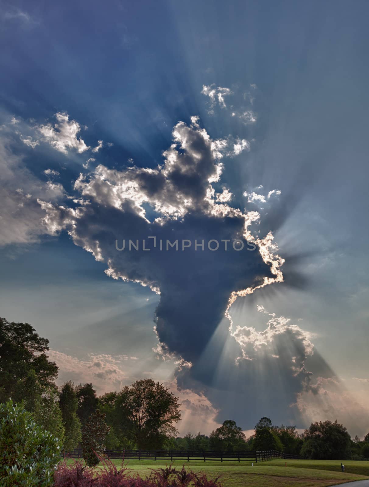 HDR shot of a tall anvil shaped cloud over meadows with sunrays