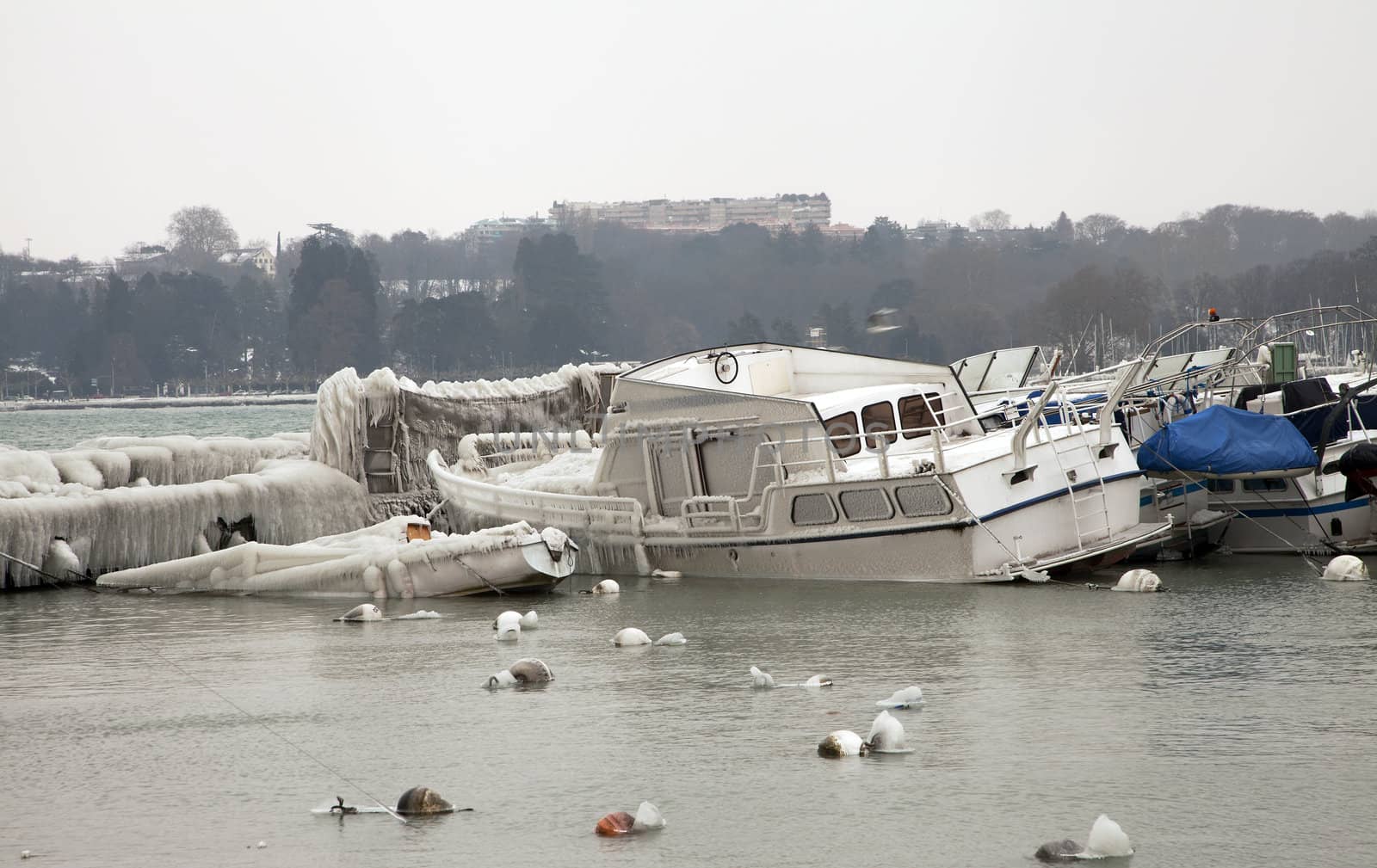 Boats are damaged by heavy with ice due to extreme cold.