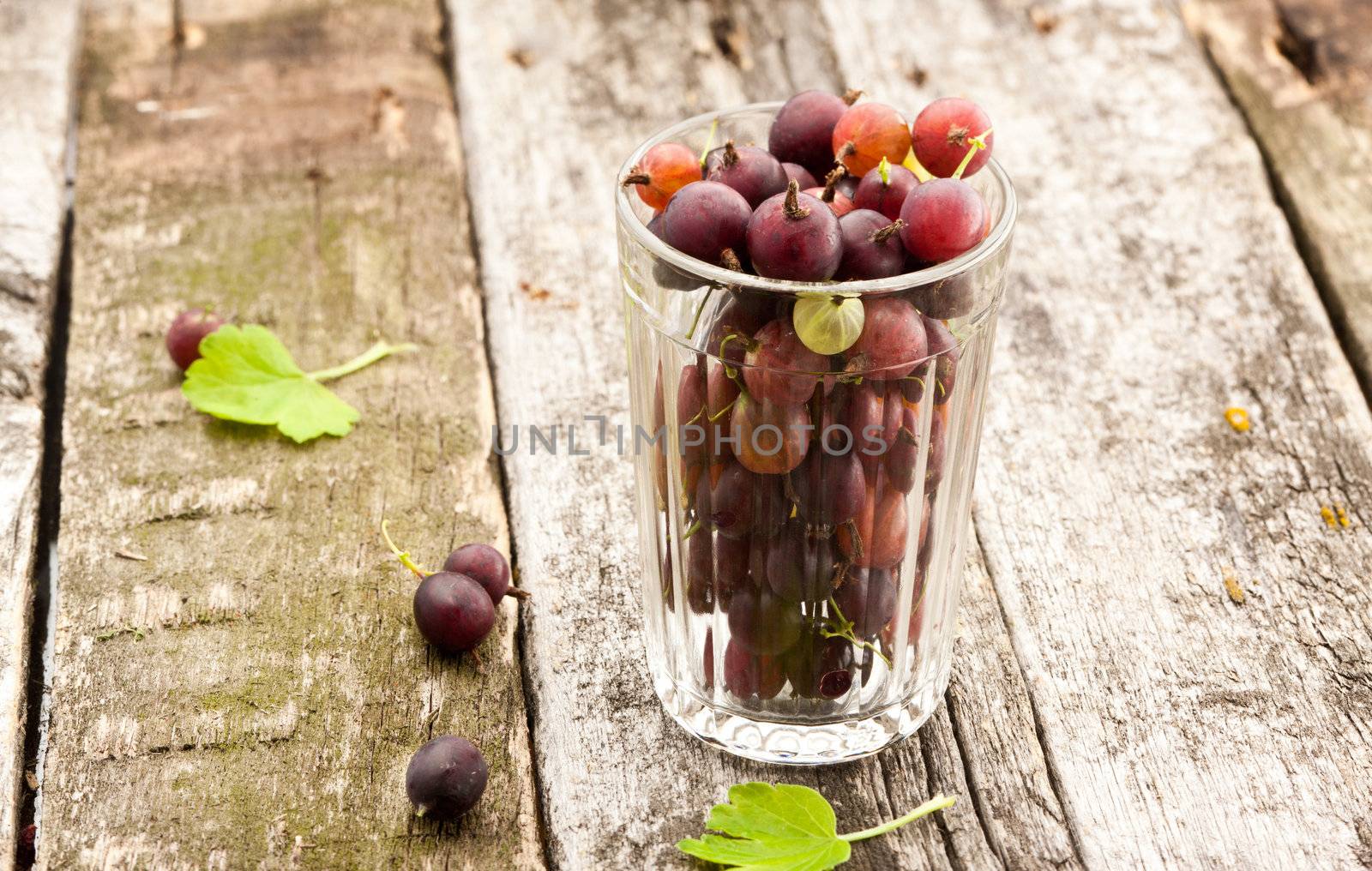 glass of ripe gooseberry on old wooden plank