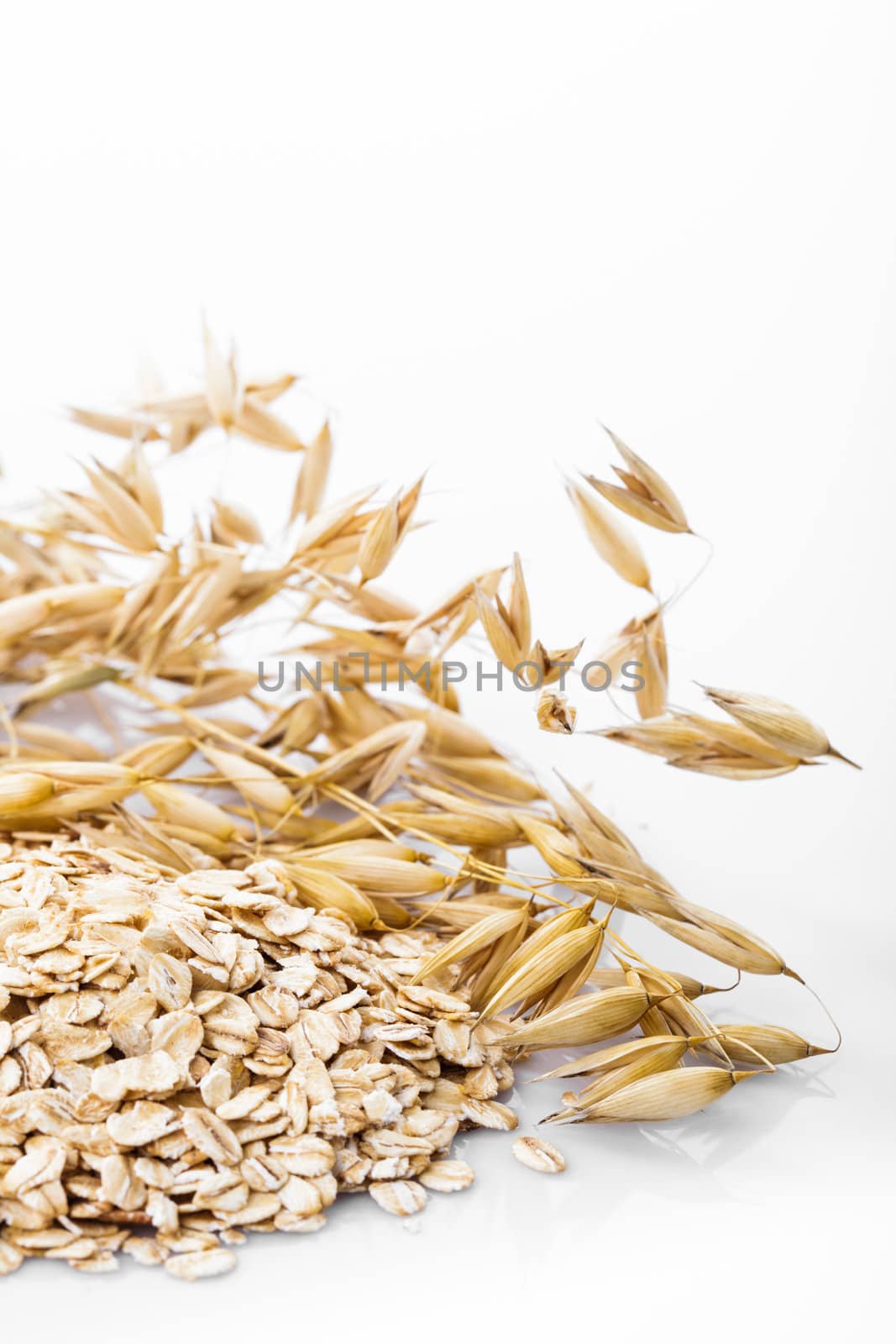 Oat flakes heap isolated on white background
