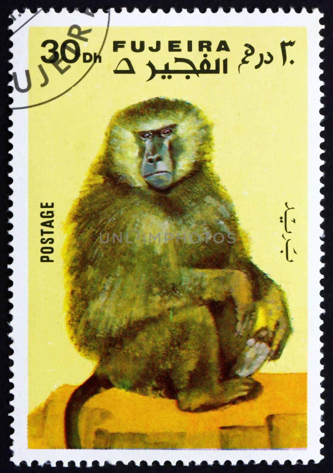 FUJEIRA - CIRCA 1972: a stamp printed in the Fujeira shows Monkey, Series Monkeys, circa 1972