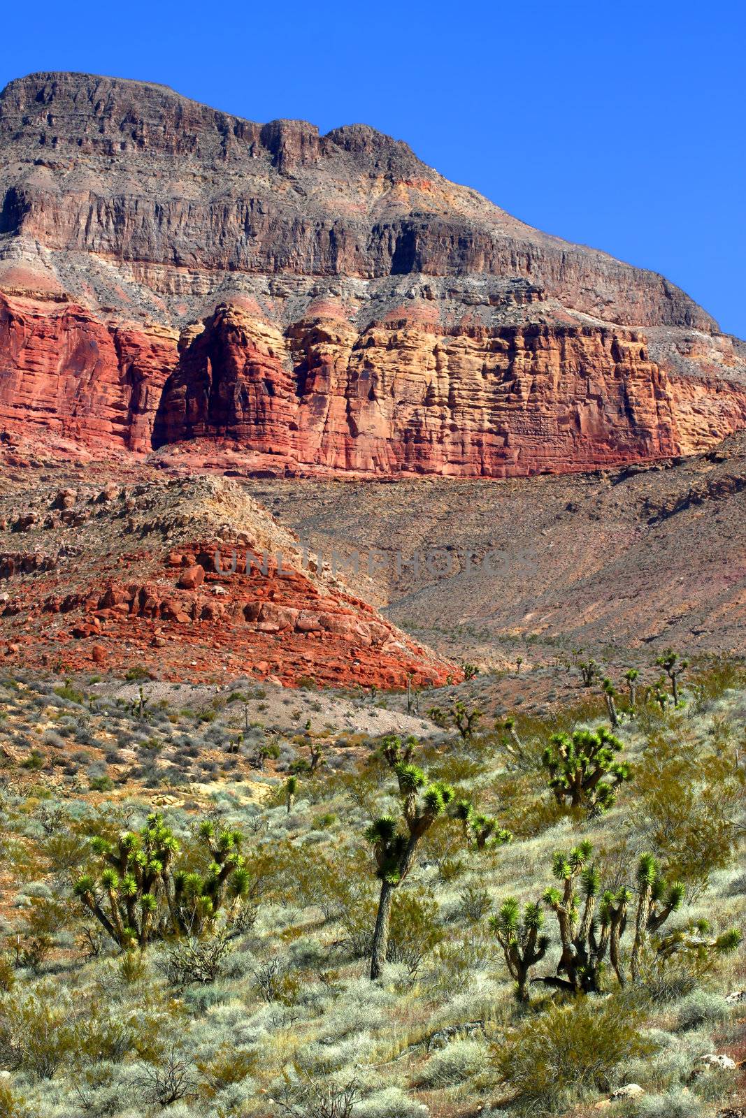 Landscape of the Beaver Dam Mountains Wilderness Area in the northwest corner of Arizona.