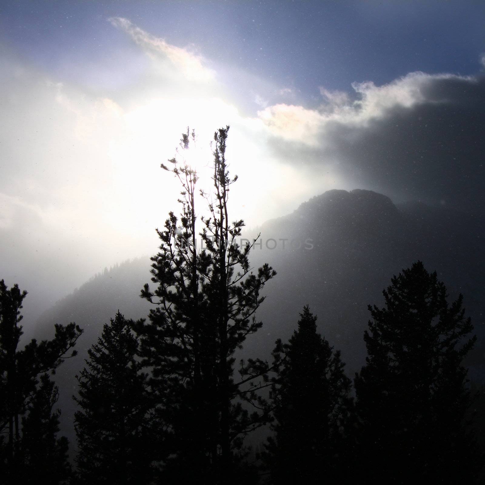 Snowstorm pushes forward against fading sunlight in the Colorado Rockies. 