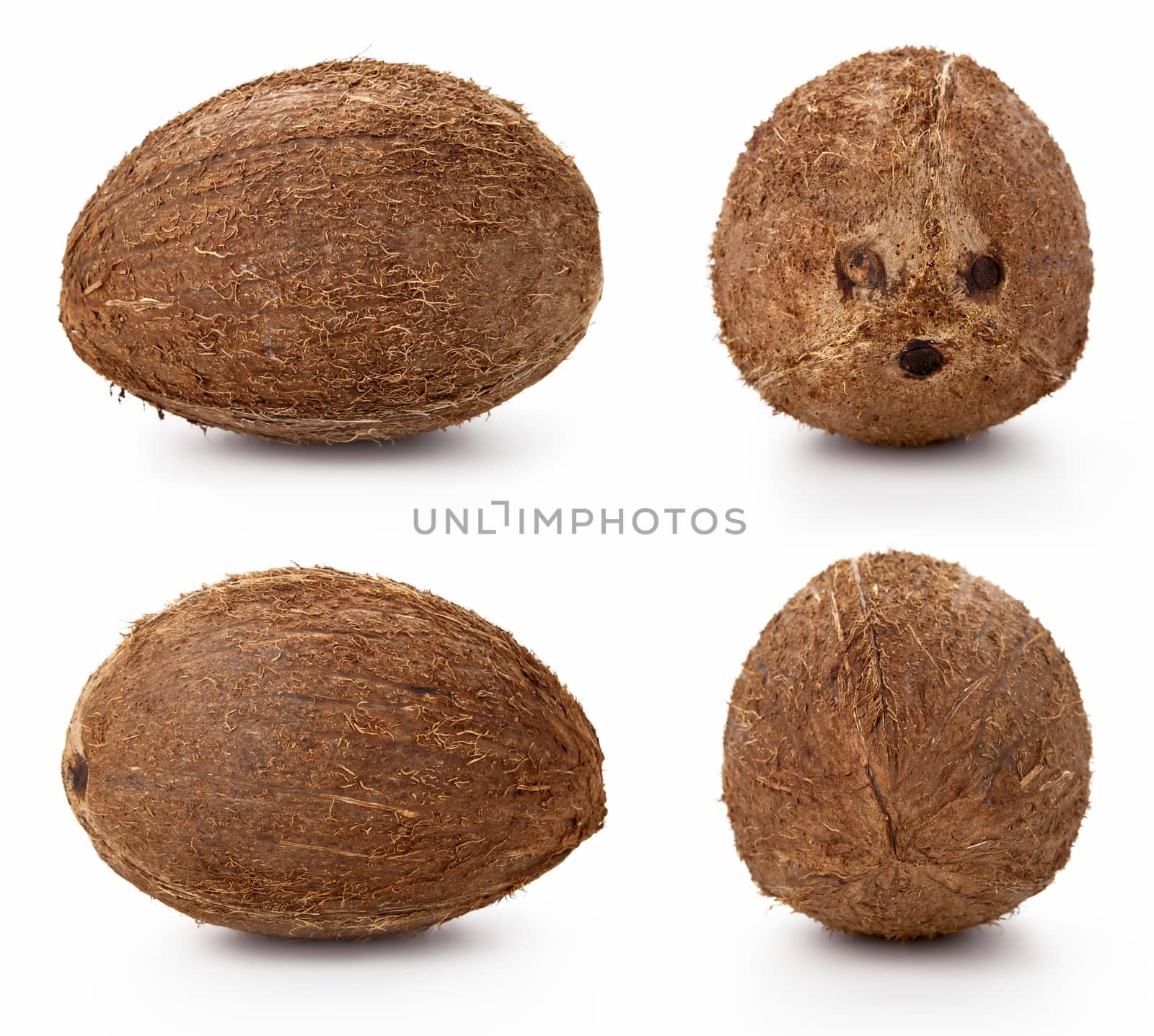 Coconut on white background, studio shots