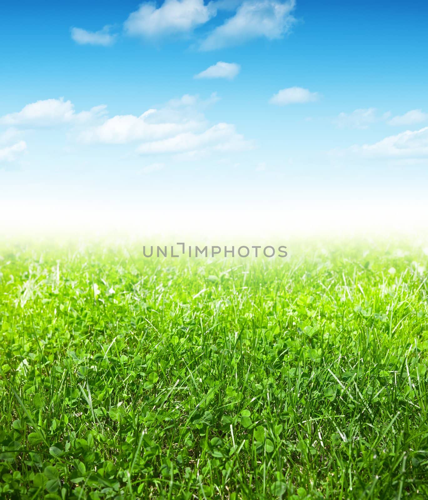 Green grass and blue sky with clouds, spring background