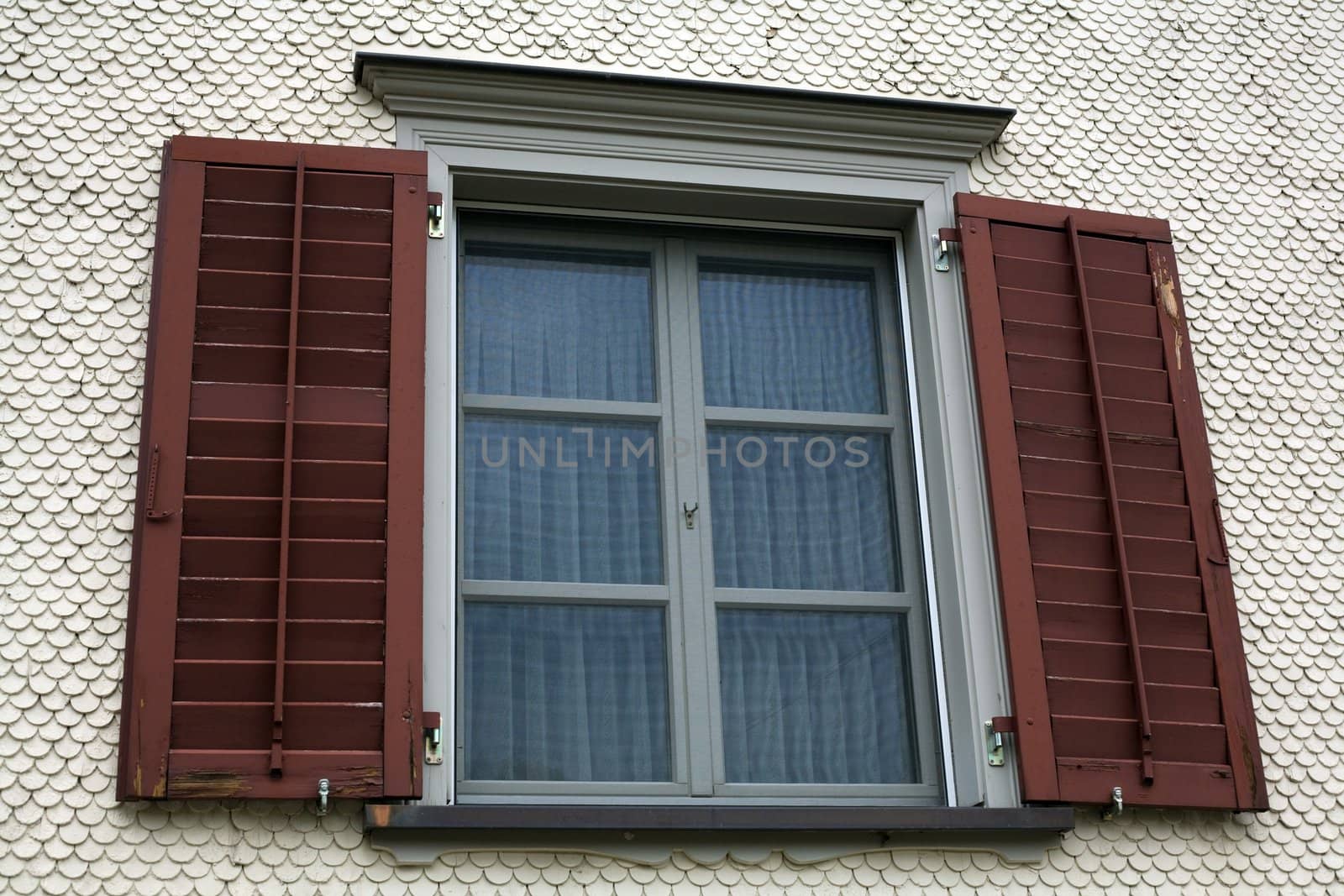 Window by velkol