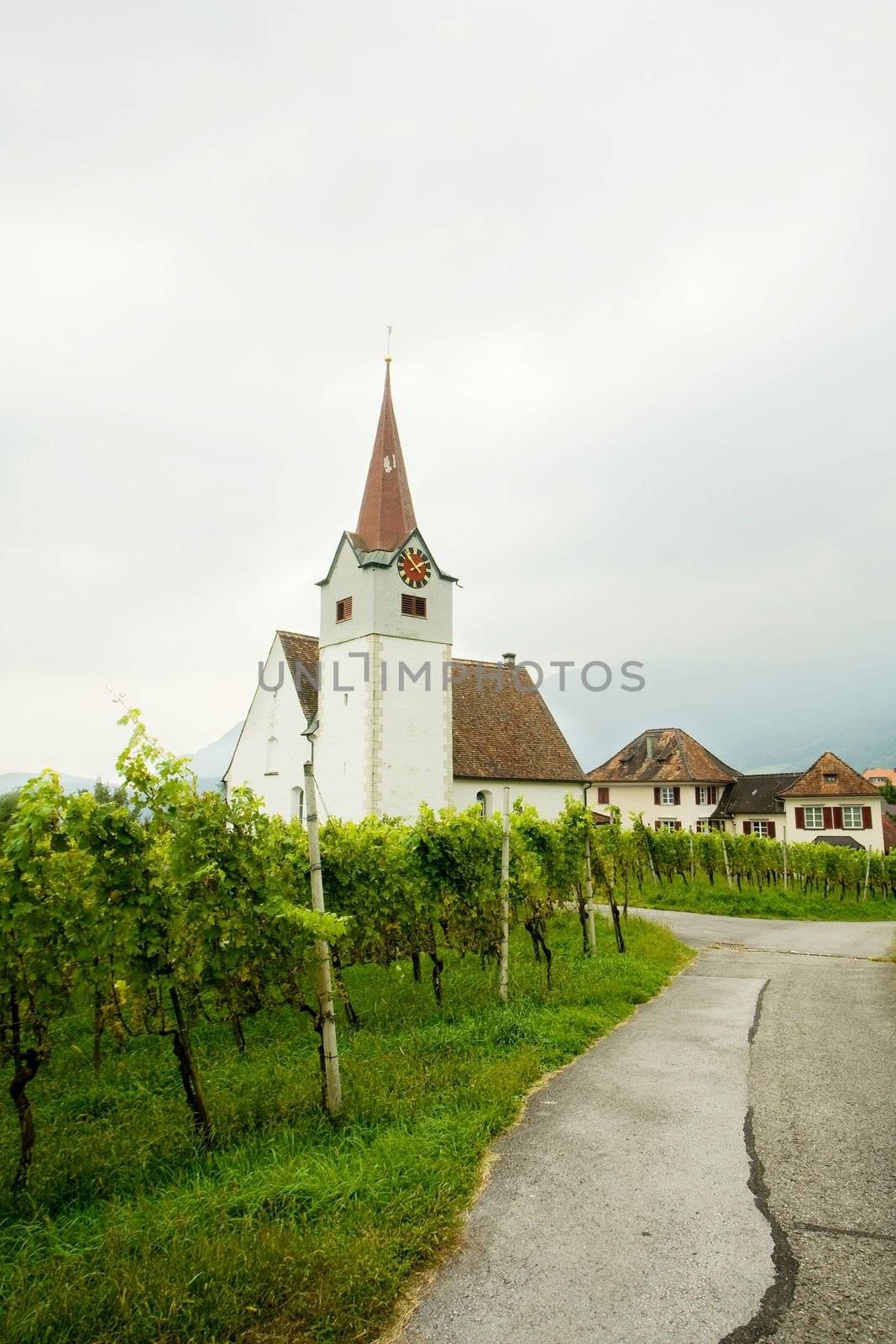 An image of vine and chapel with clock