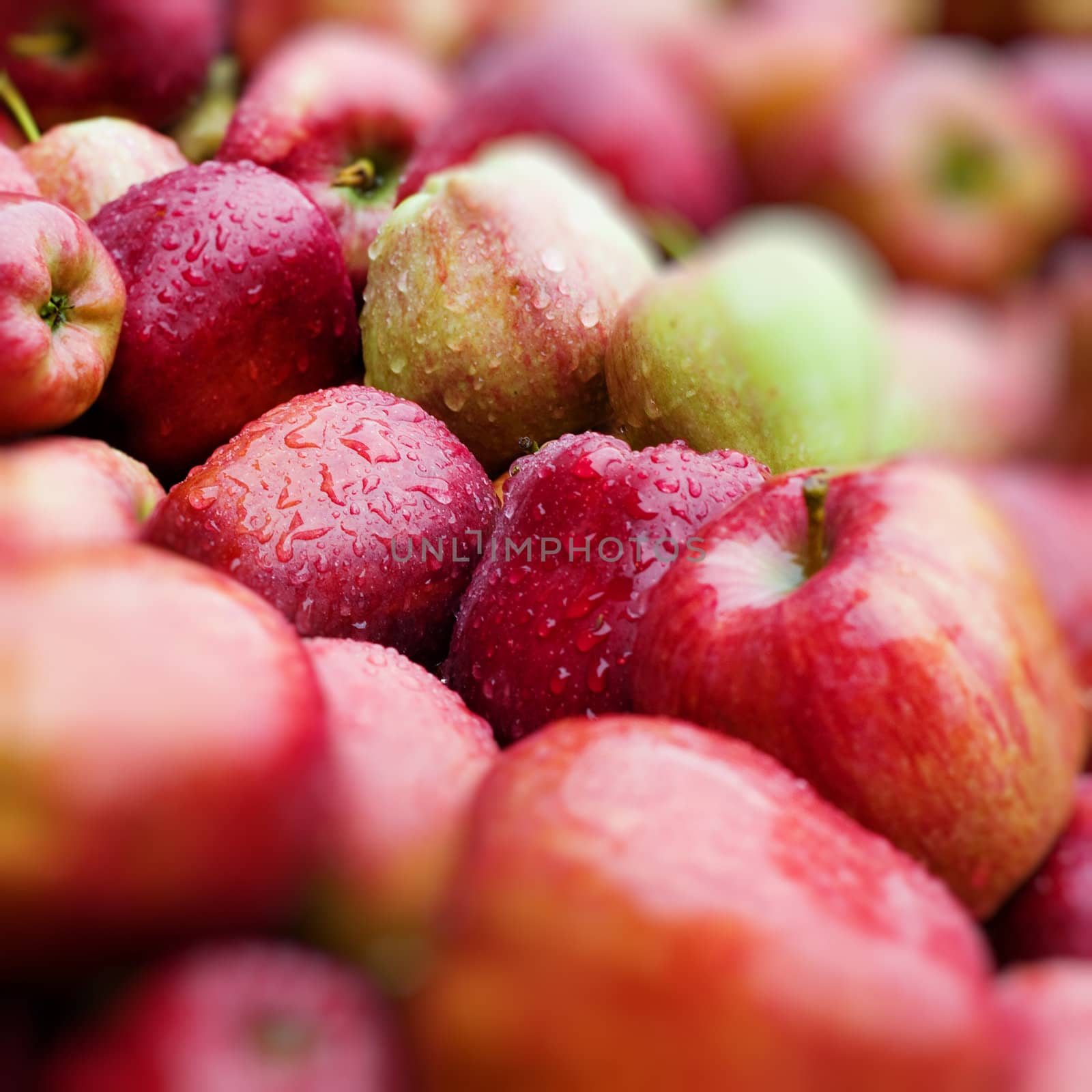 An image of red ripe wet apples