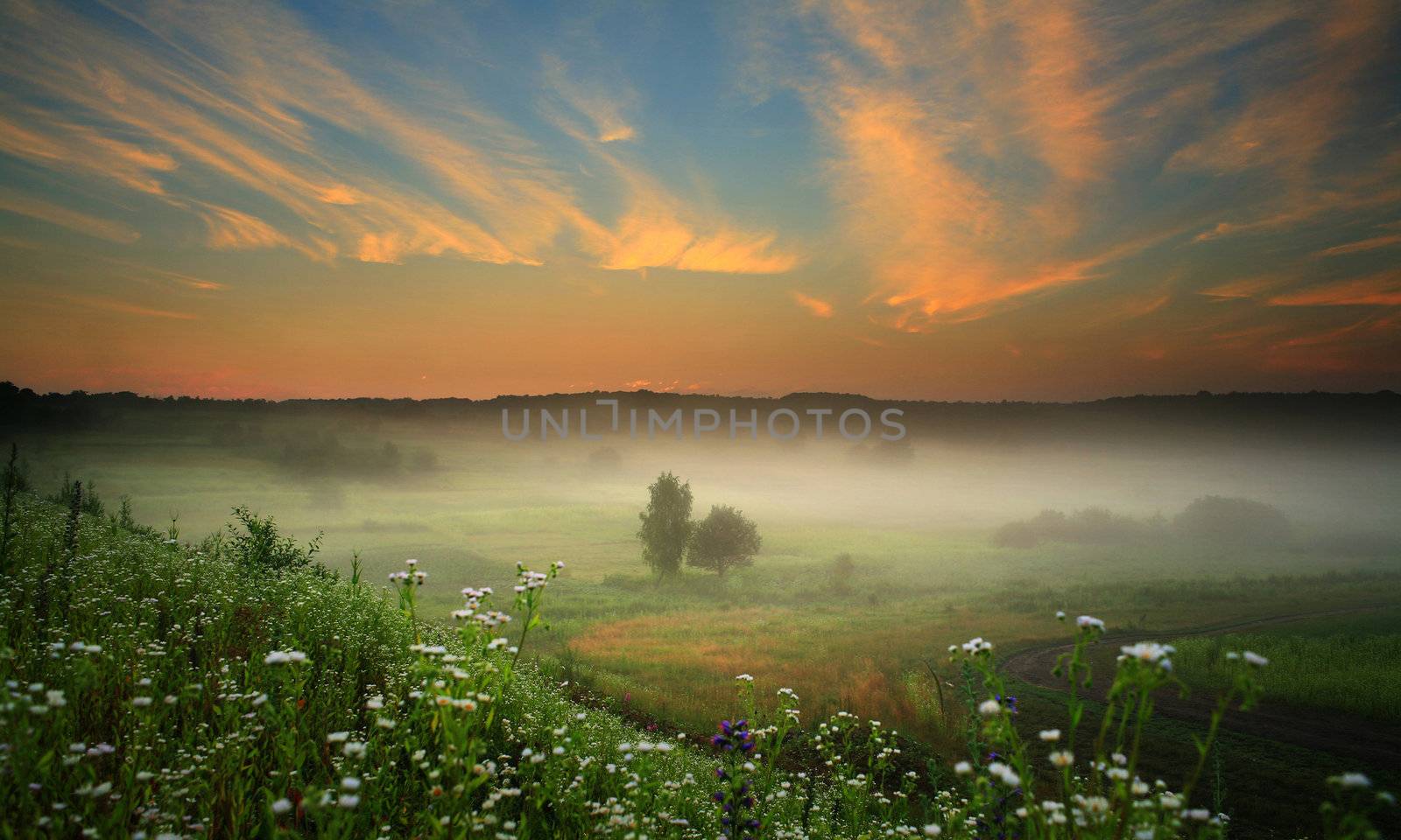 An image of misty landscape with flowers and trees