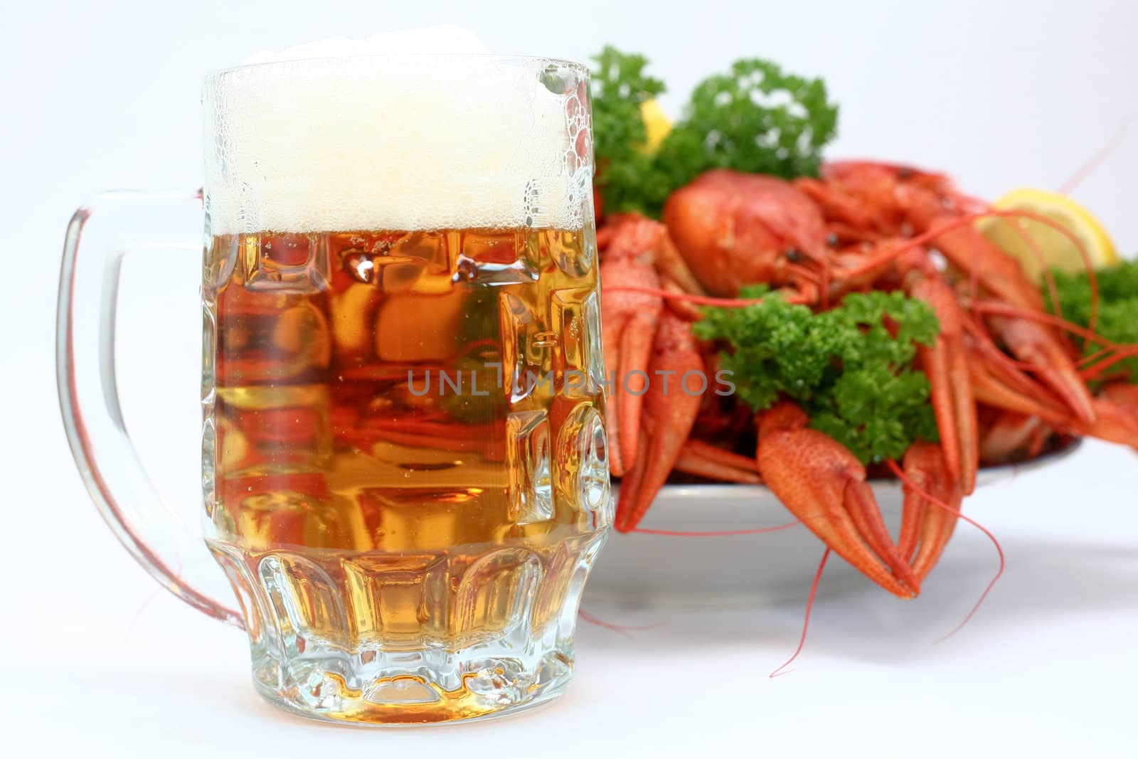 Crayfishs with beer on a neutral background