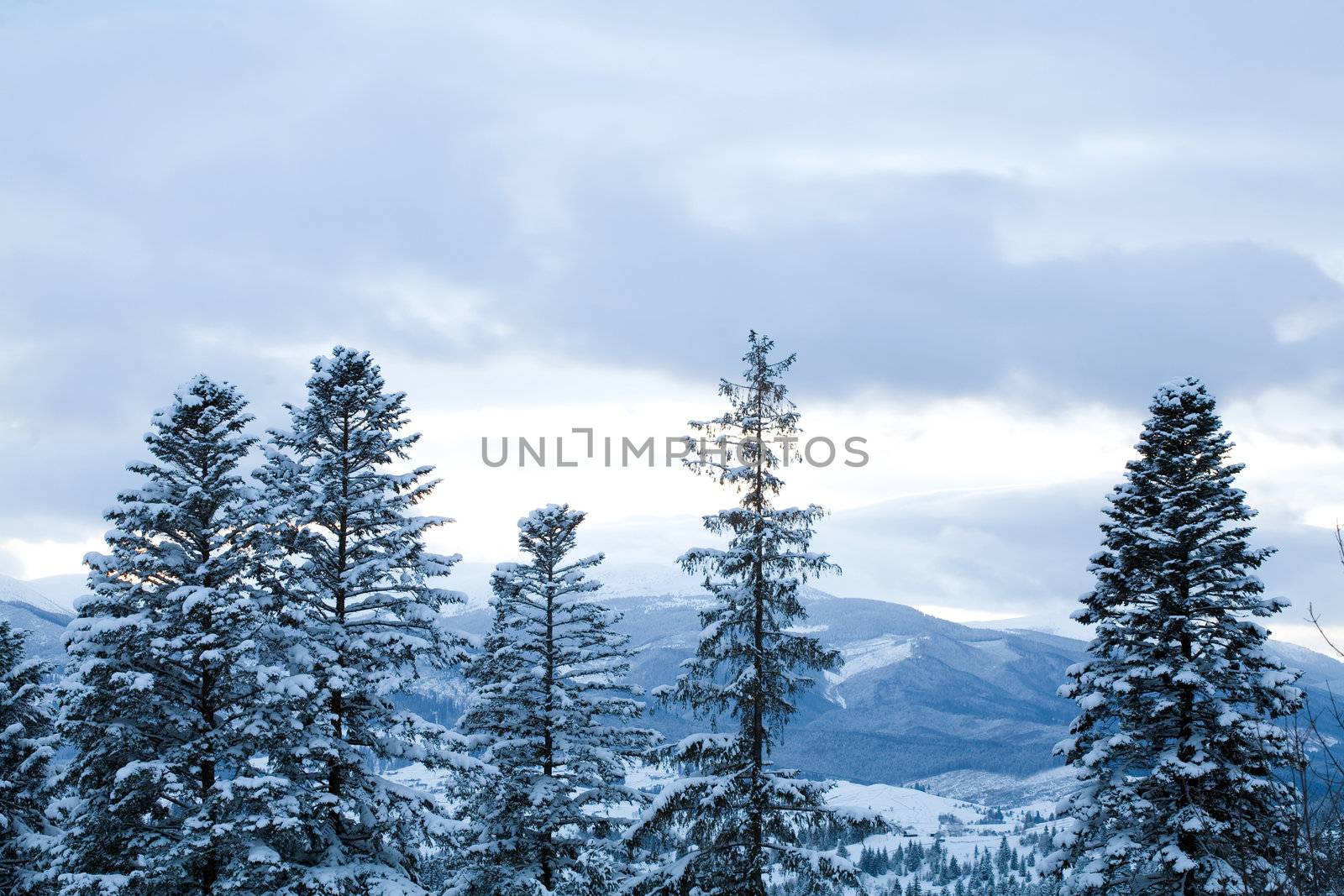 An image of cold winter in the mountains