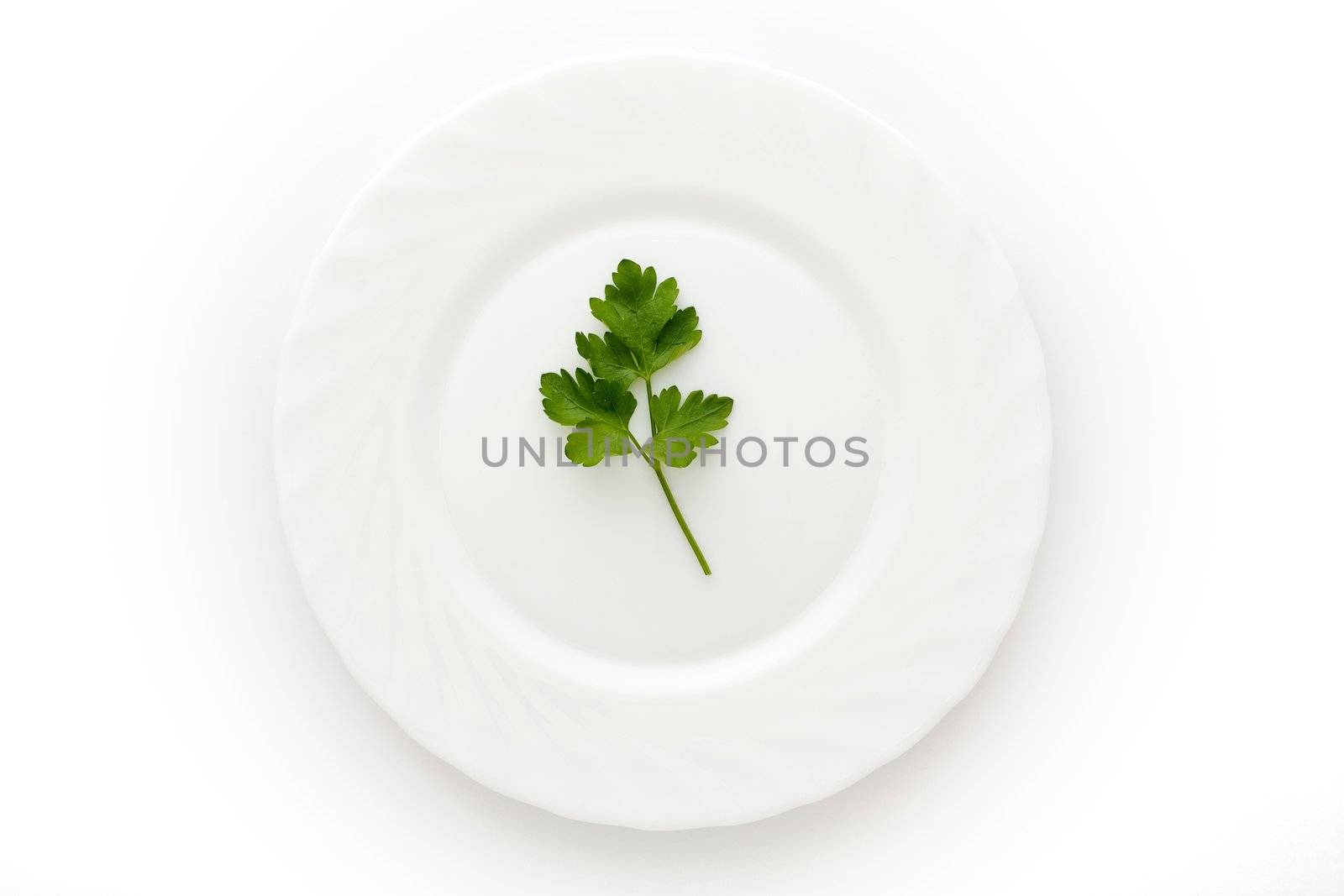 An image of a plate with leaf of parsley on it