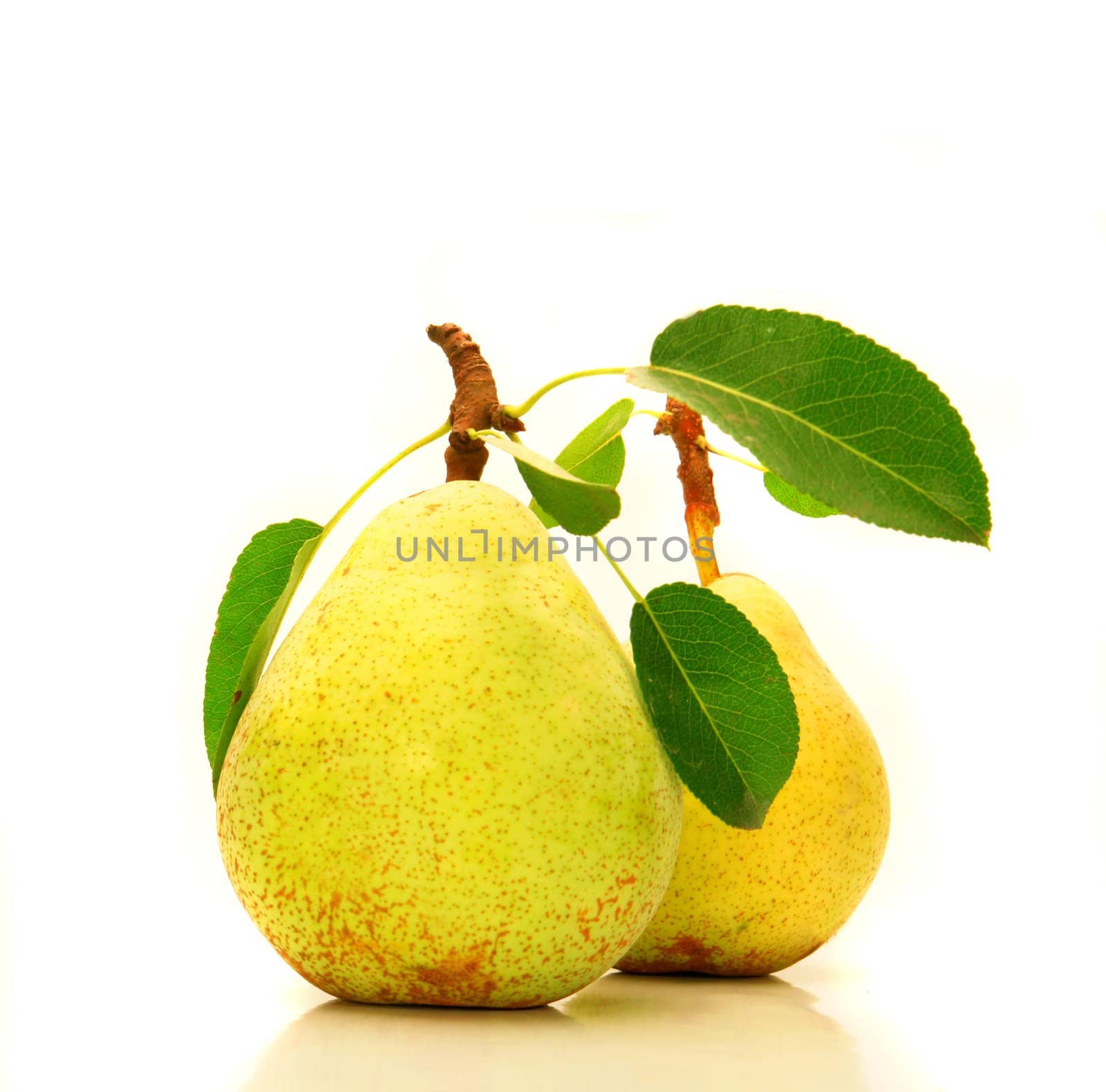 a yellow pear isolated on the...                           