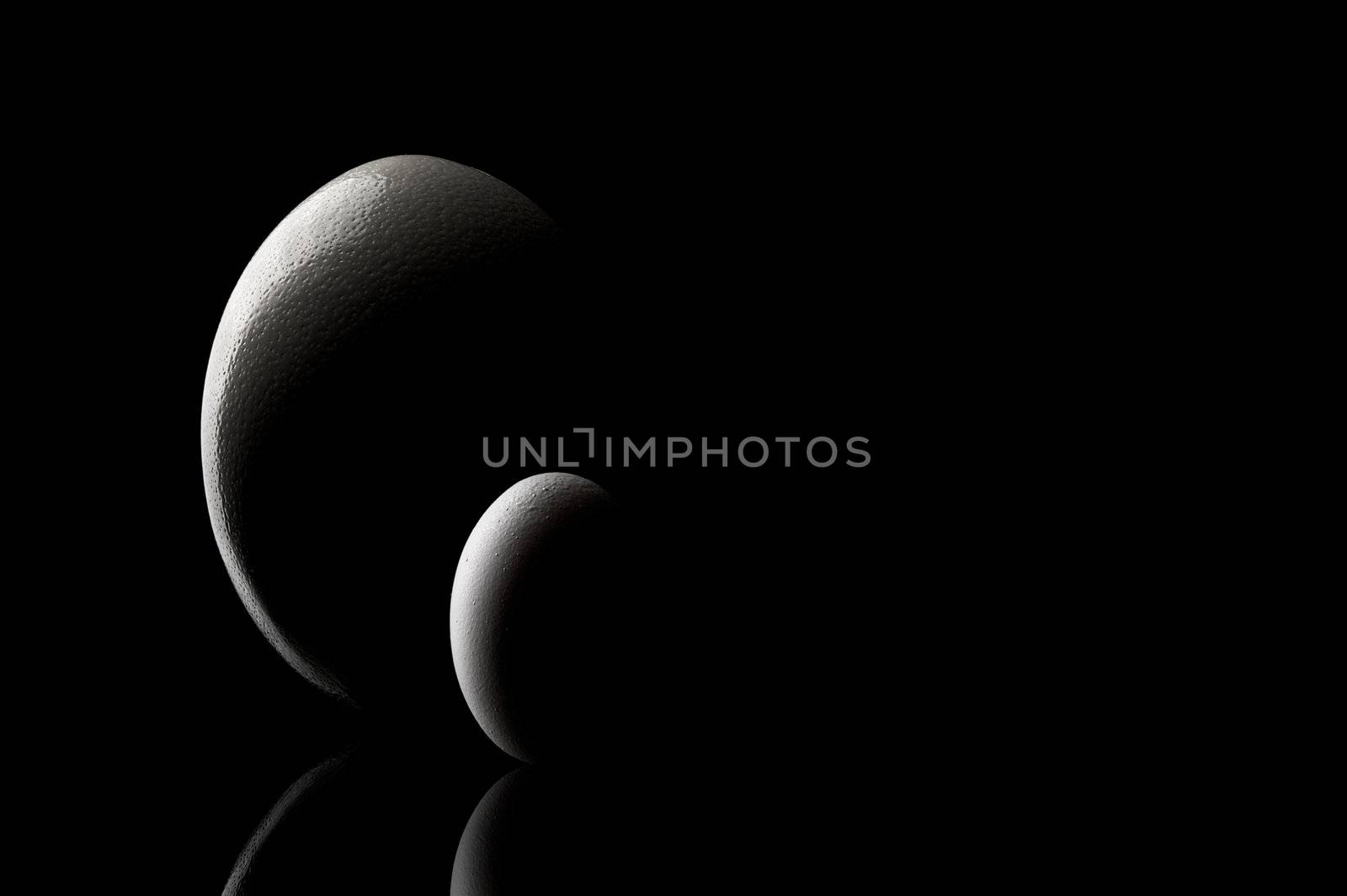 Chicken and ostrich eggs isolated over black background