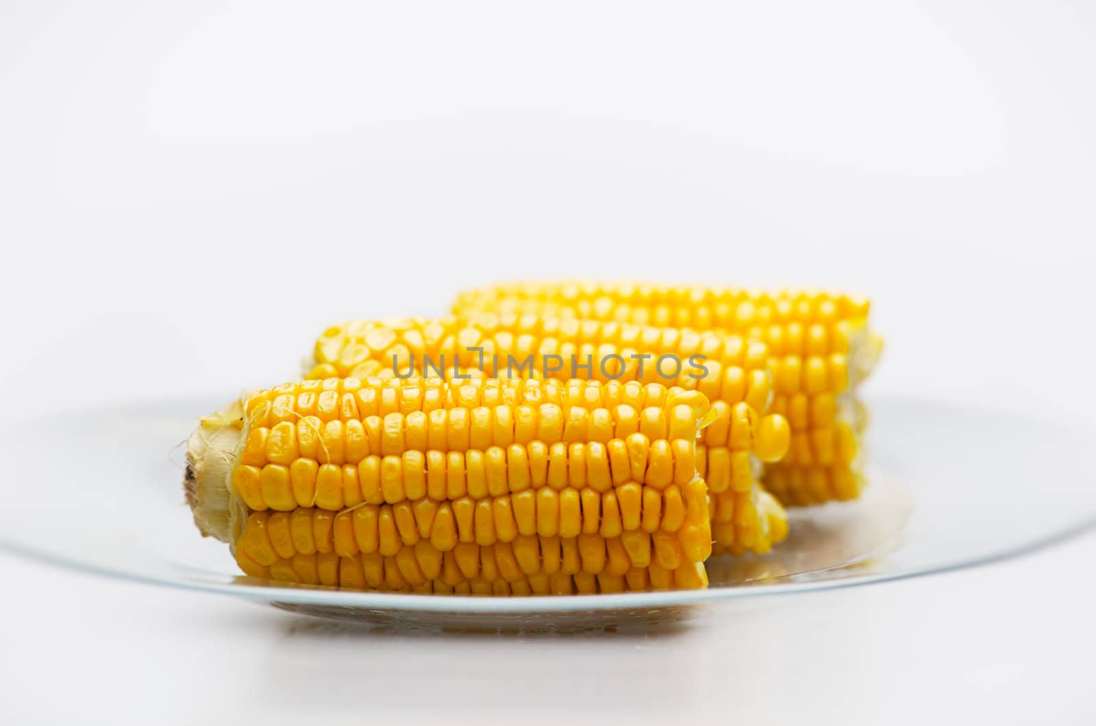 Still life of Corn Cobs on a glass plate. Isolated on White background. Small Depth of  Field.