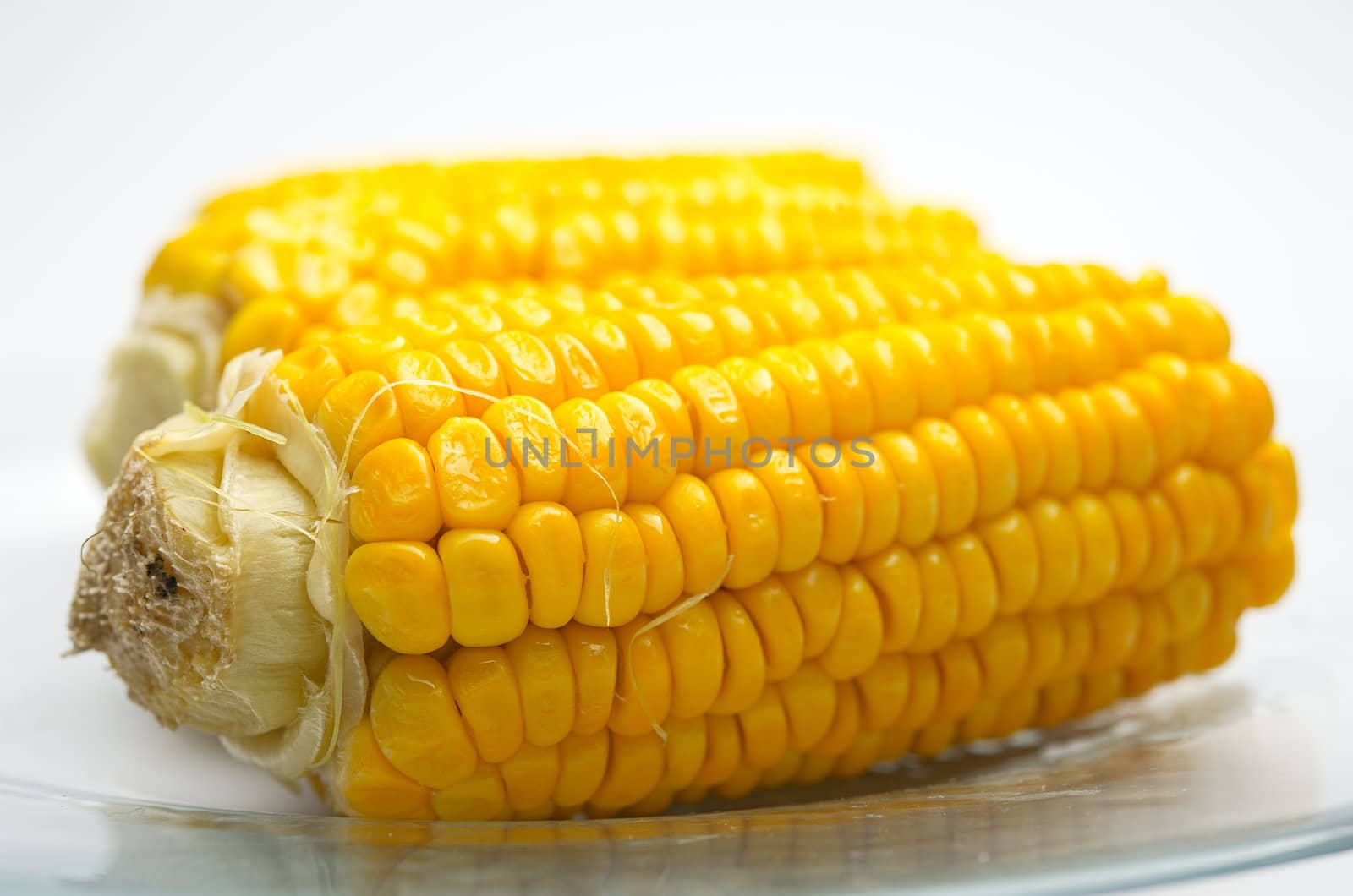 Closeup of a Corn Cobs on a glass plate. Isolated on White background. Small Depth of  Field.