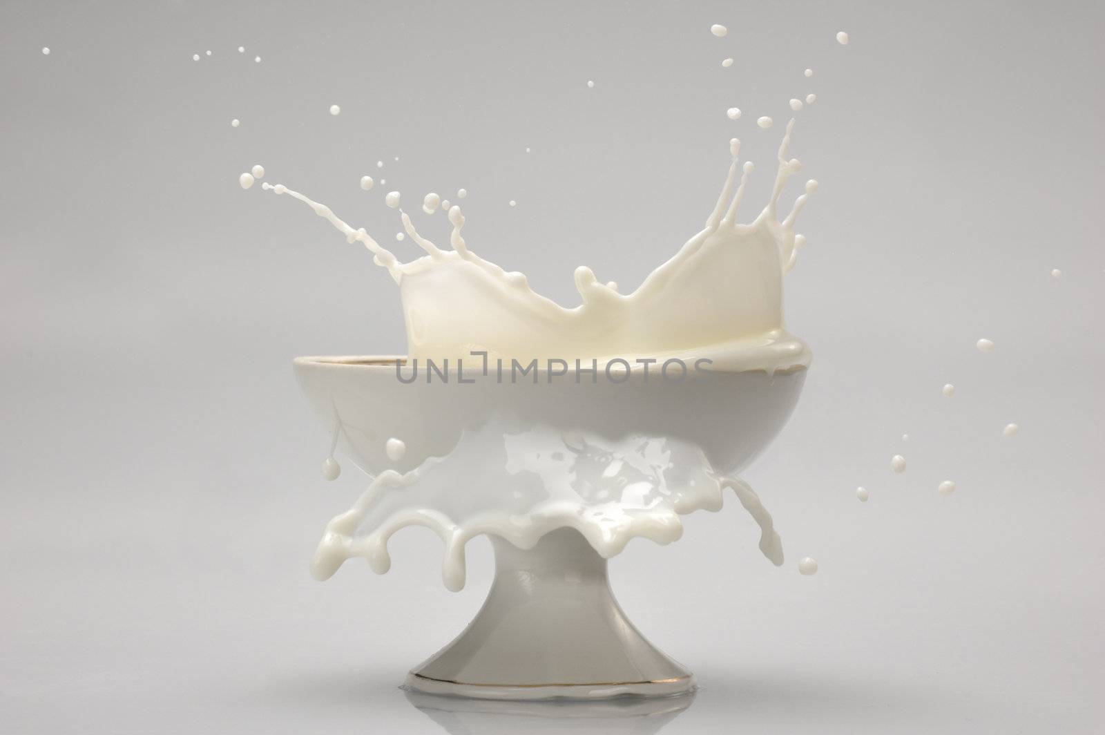 Milk splash isolated on white background