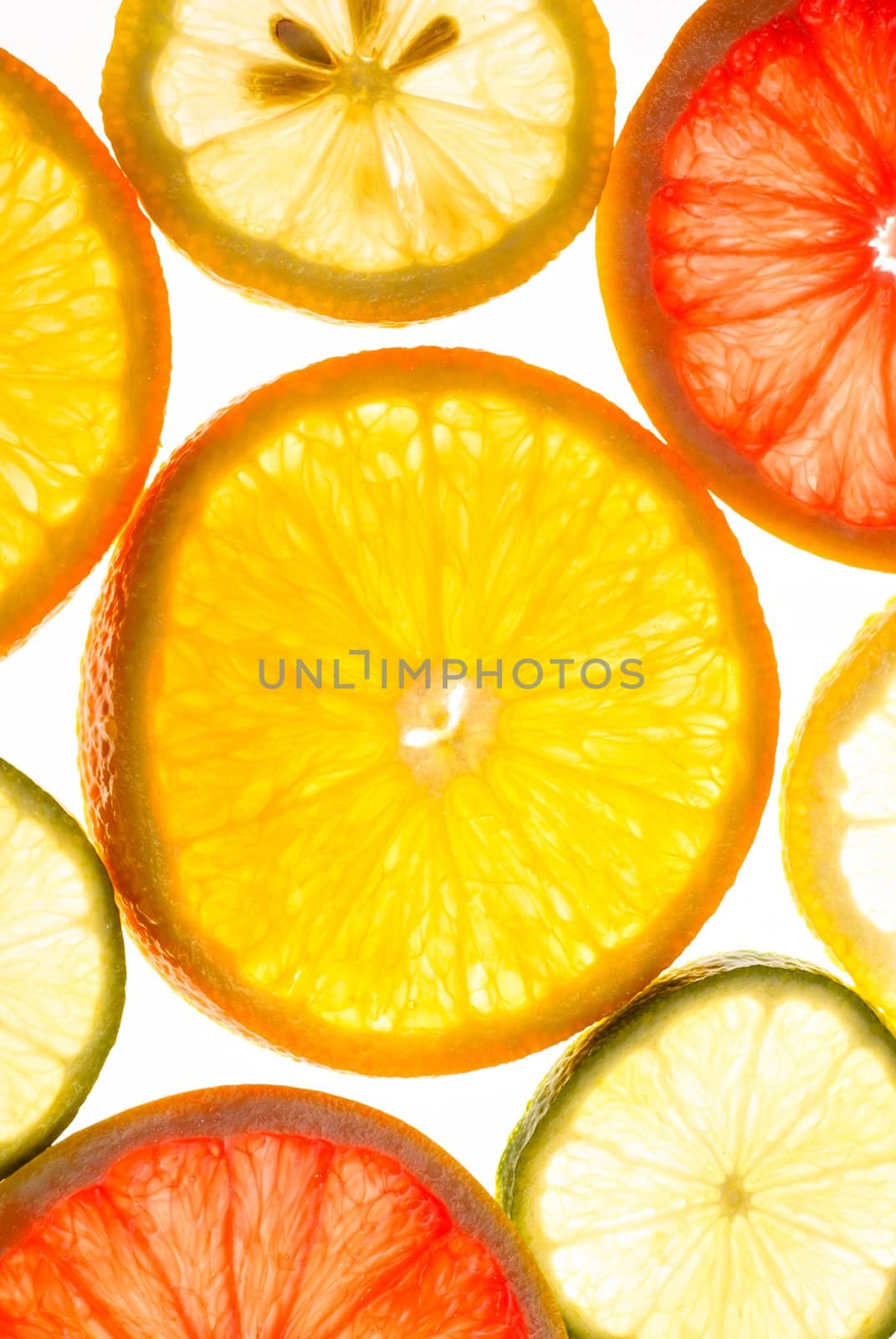 Slices of grapefruit, lemon, lime and orange as a background