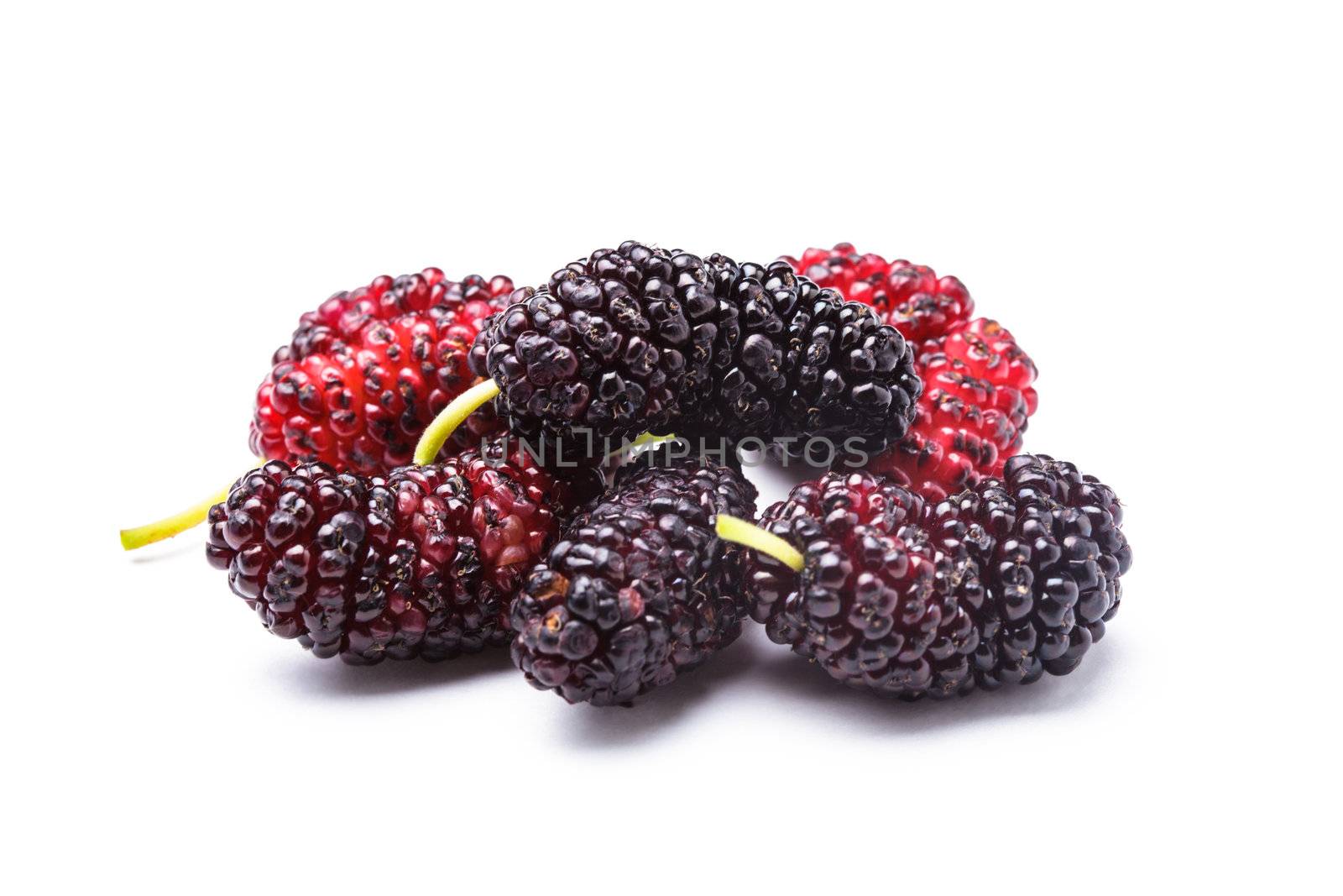Mulberry berries close up on white background