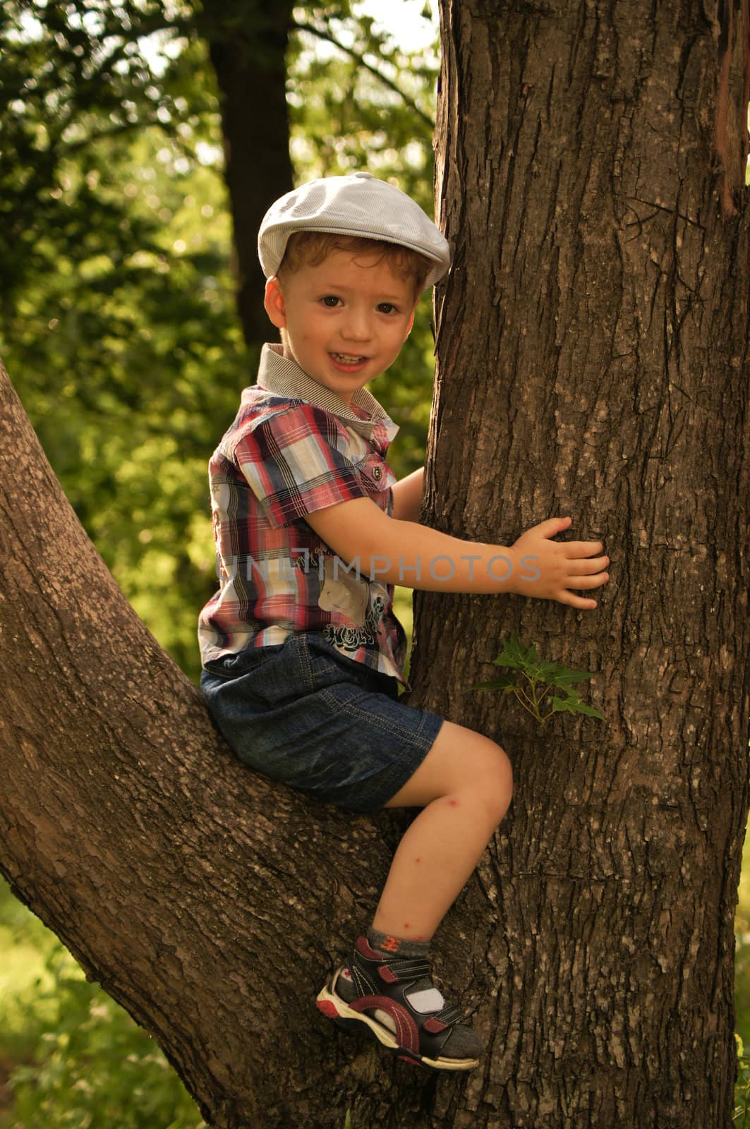 The little boy on walk