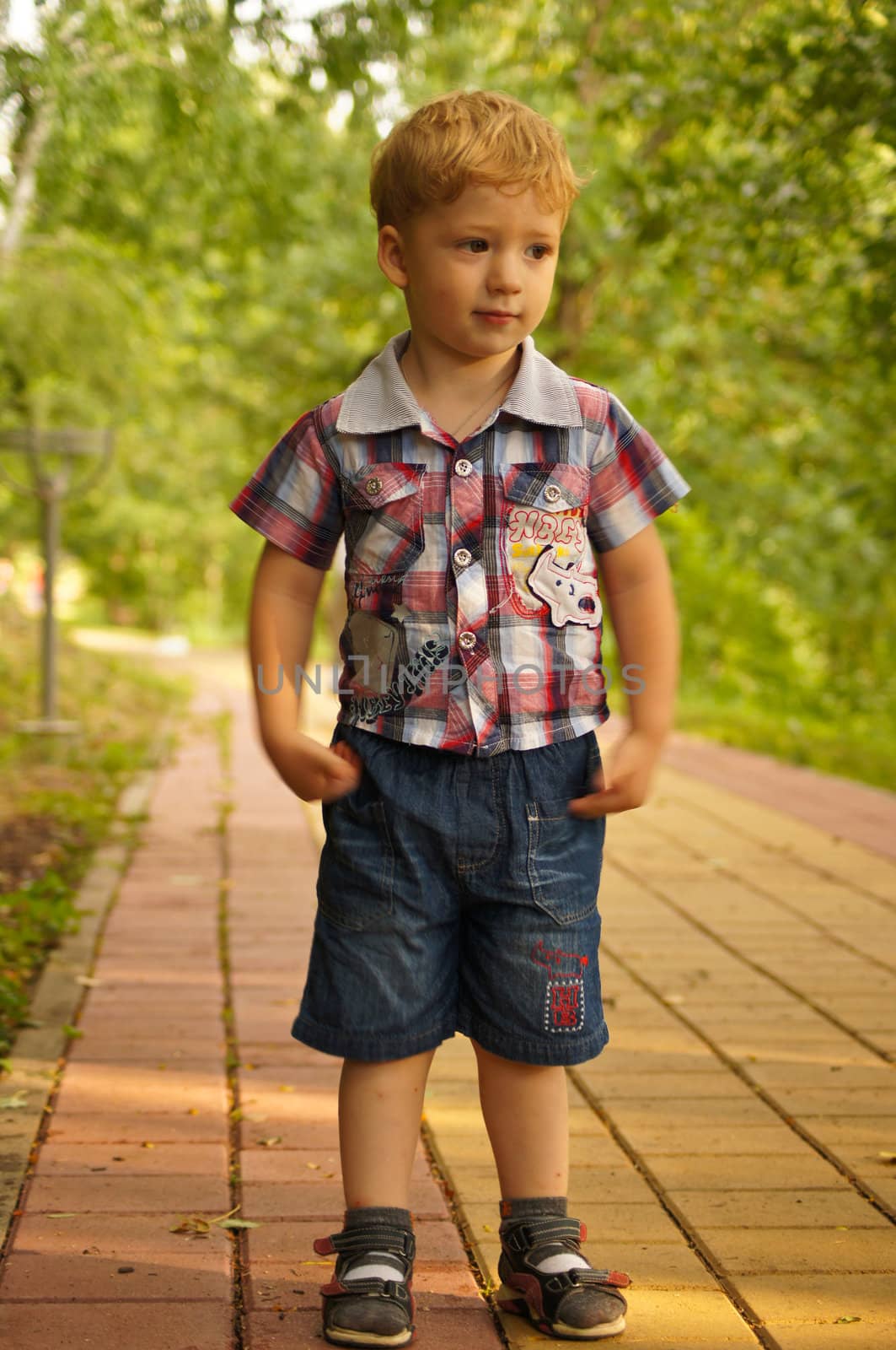 The little boy on walk