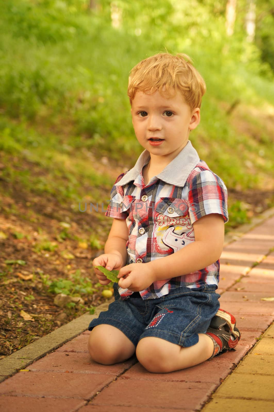 The little boy on walk