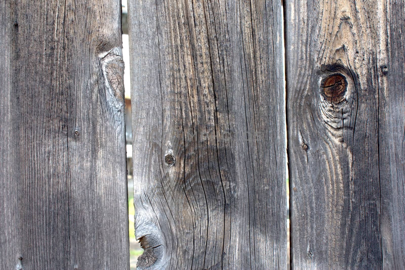 Old wood fence by sergpet