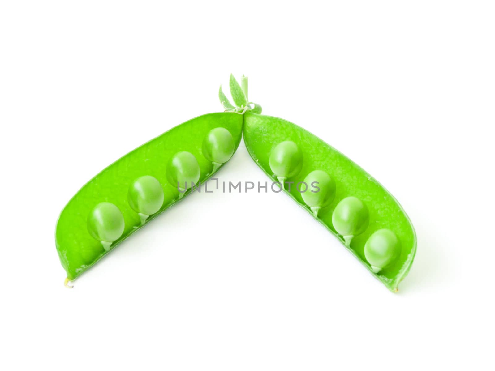 The isolated opened pod of peas on a white background