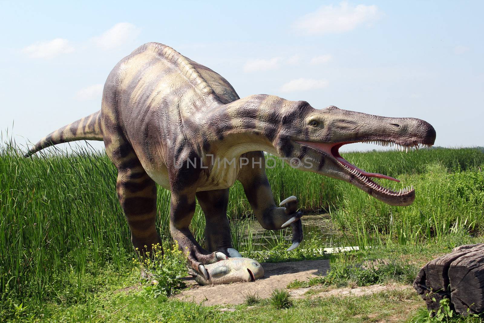 big danger dinosaur catch fish